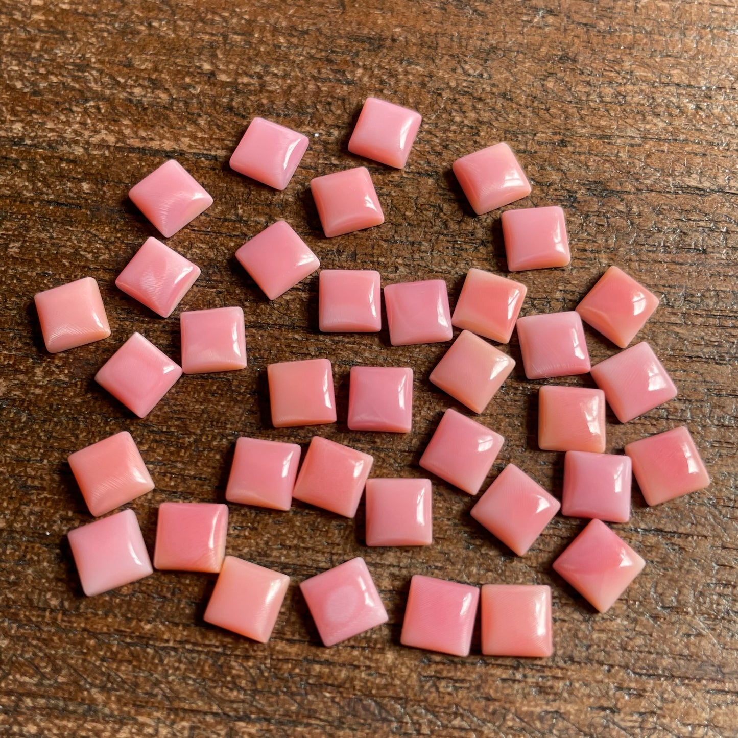 Pink Conch 5 mm