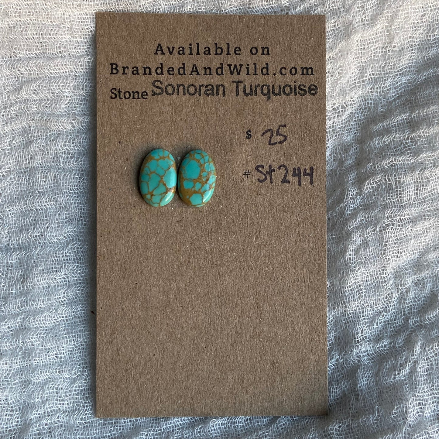 Sonoran Turquoise Cabochon - ST244