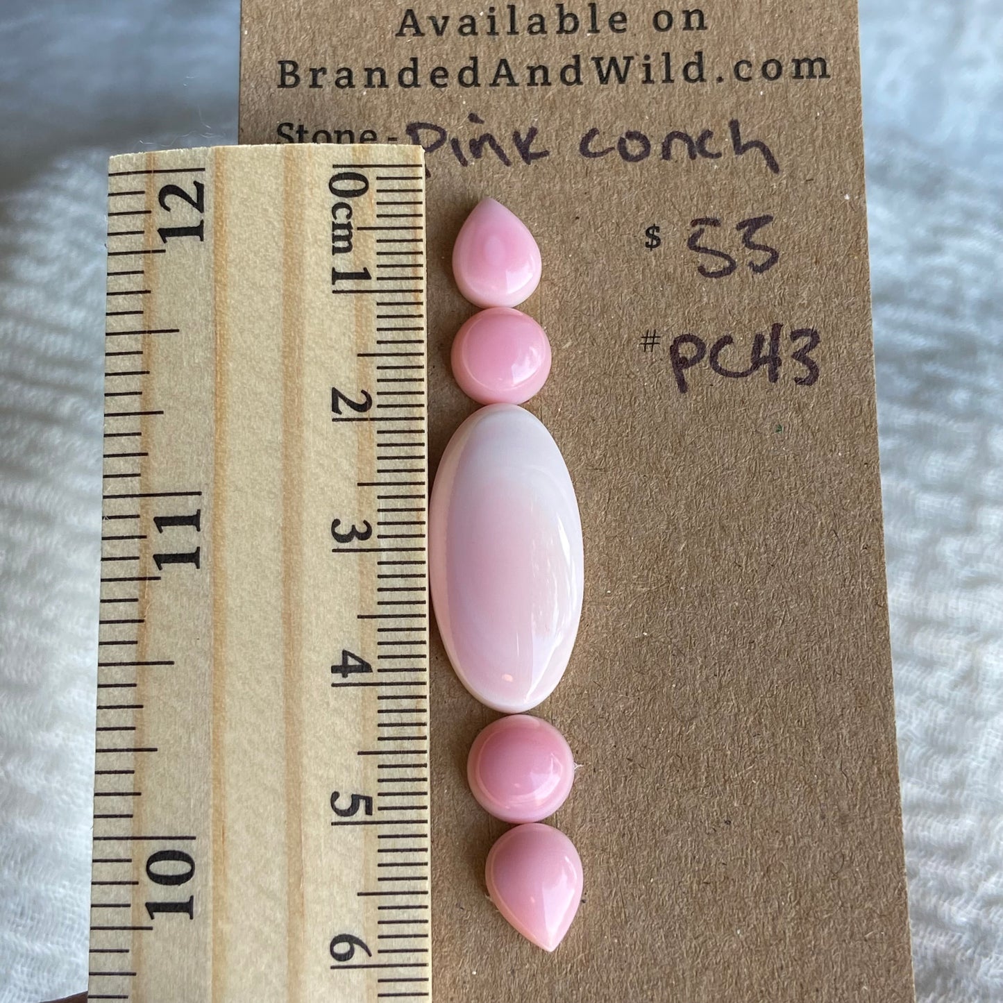 Pink Conch Cabochon - PC43