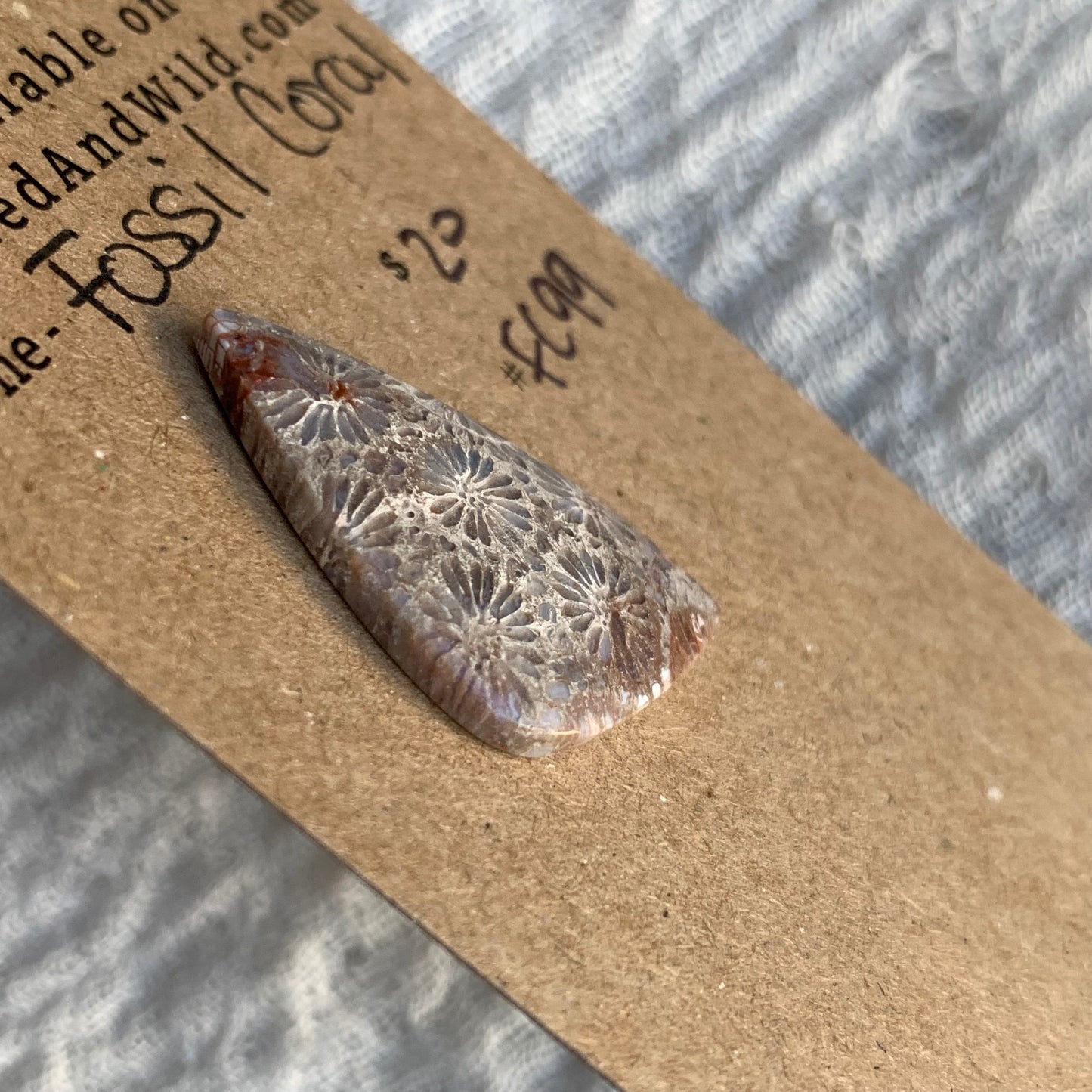 Fossil Coral Cabochon - FC99
