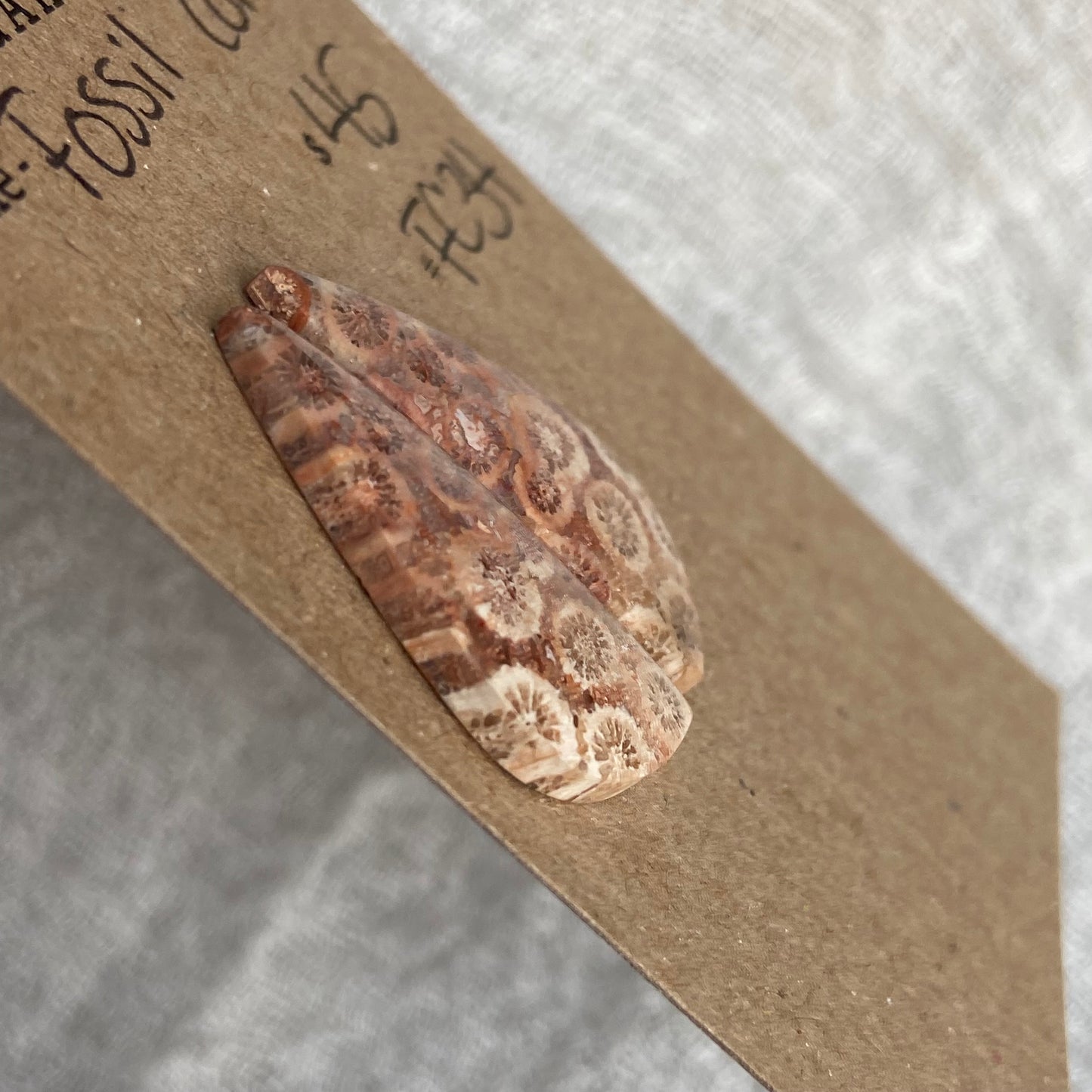 Fossil Coral Cabochon - FC34