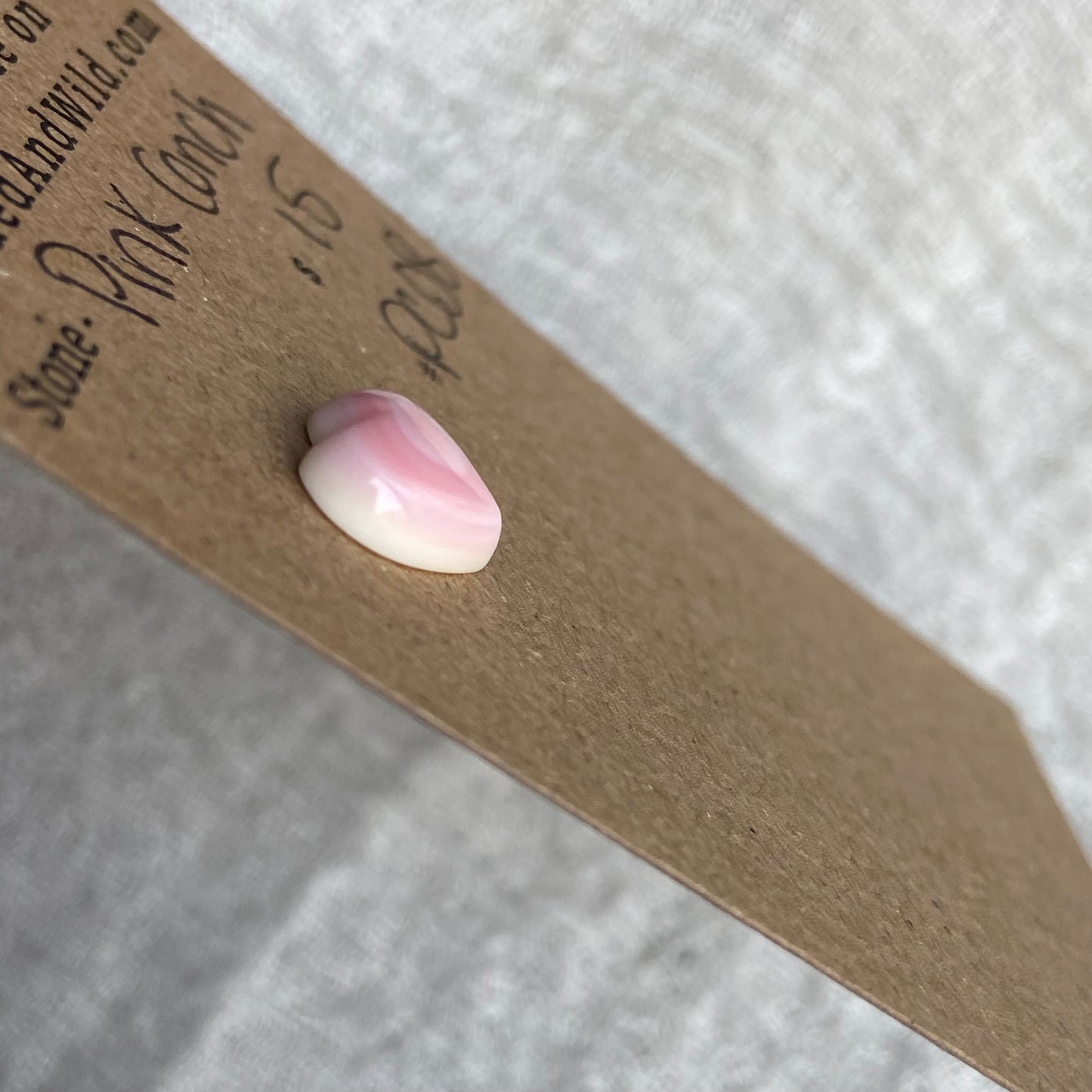 Pink Conch Cabochon - PC08