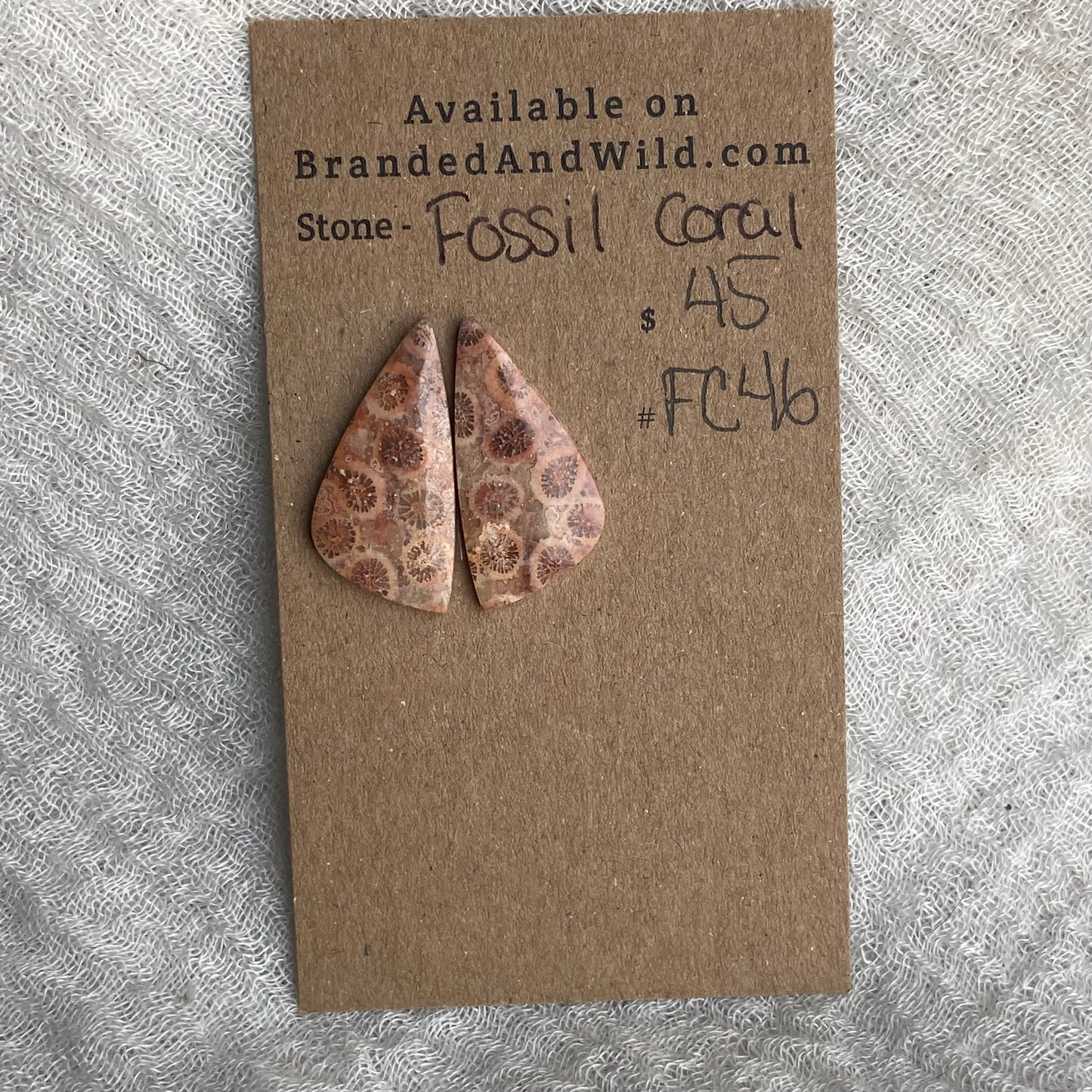 Fossil Coral Cabochon - FC46