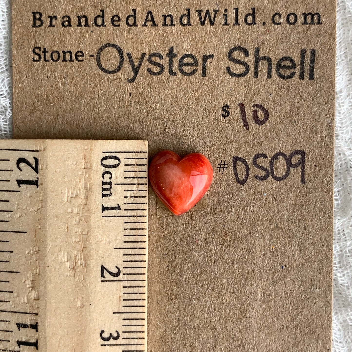Oystershell Cabochon - OS09