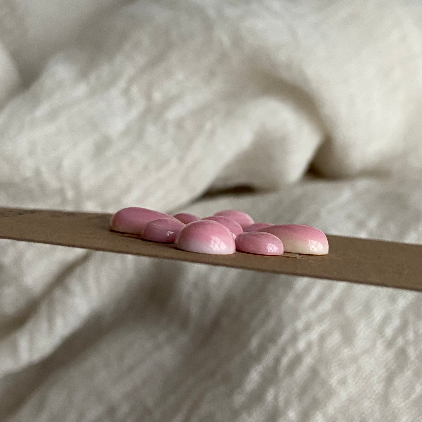 Pink Conch Cabochon - PC74