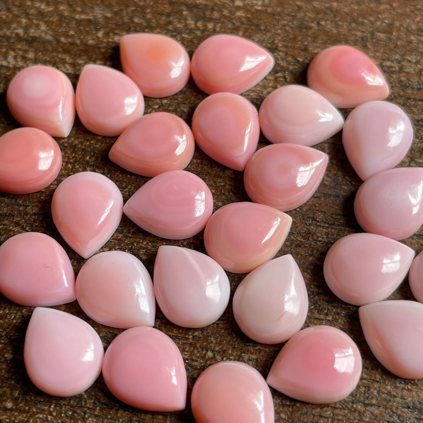 Pink Conch 8x10 mm