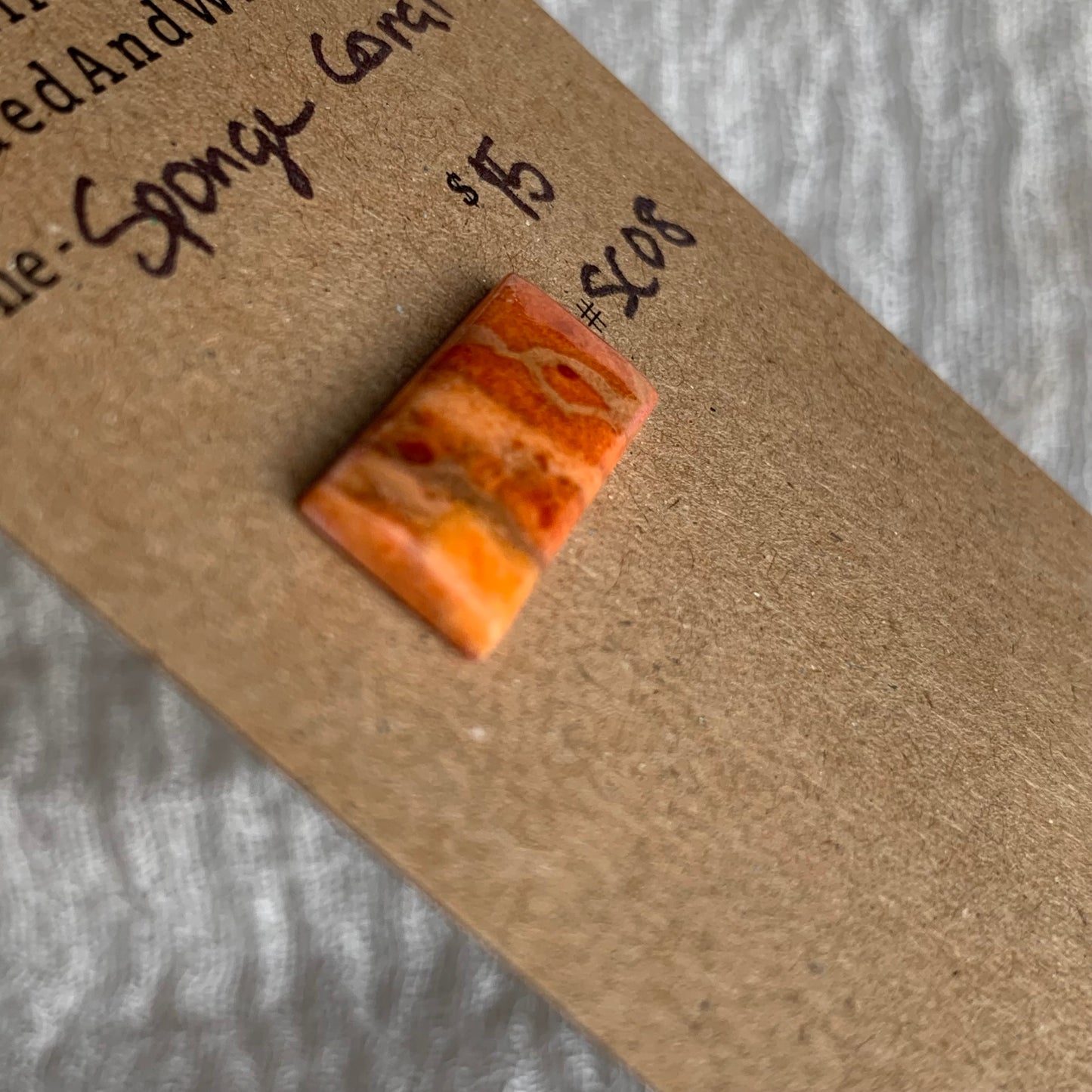 Sponge Coral Cabochon - SC08