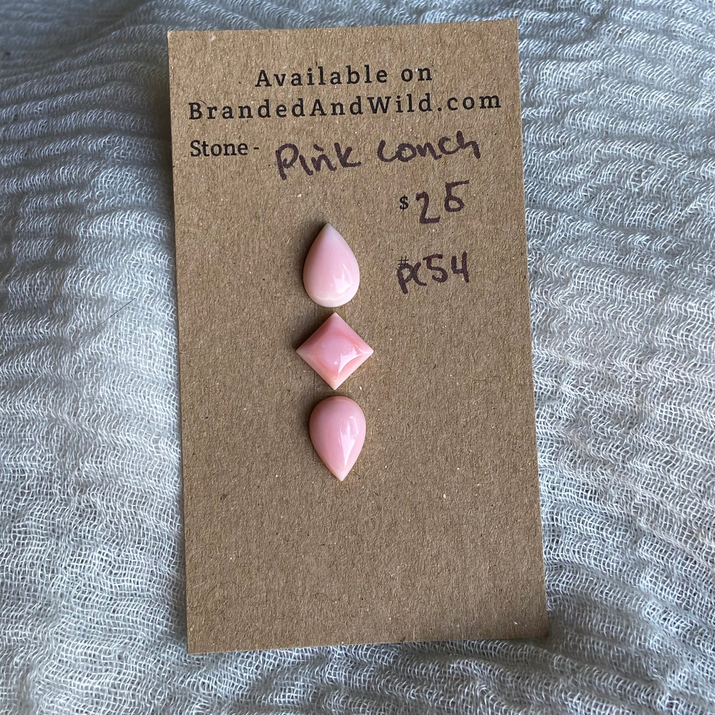 Pink Conch Cabochon - PC54