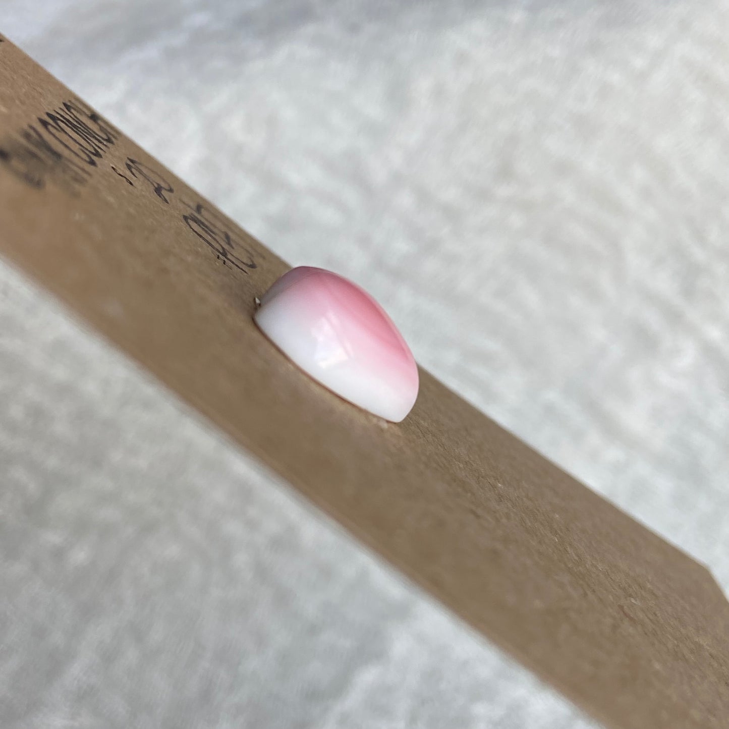 Pink Conch Cabochon - PC47