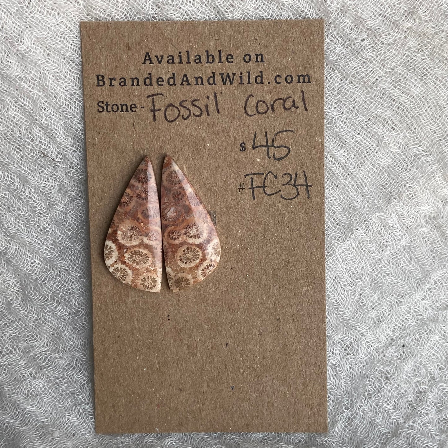 Fossil Coral Cabochon - FC34