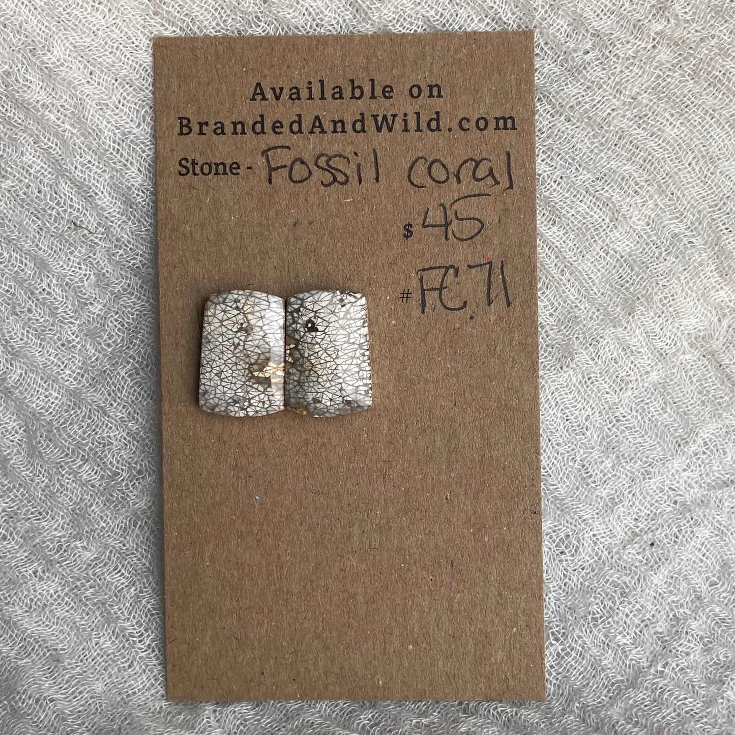 Fossil Coral Cabochon - FC71