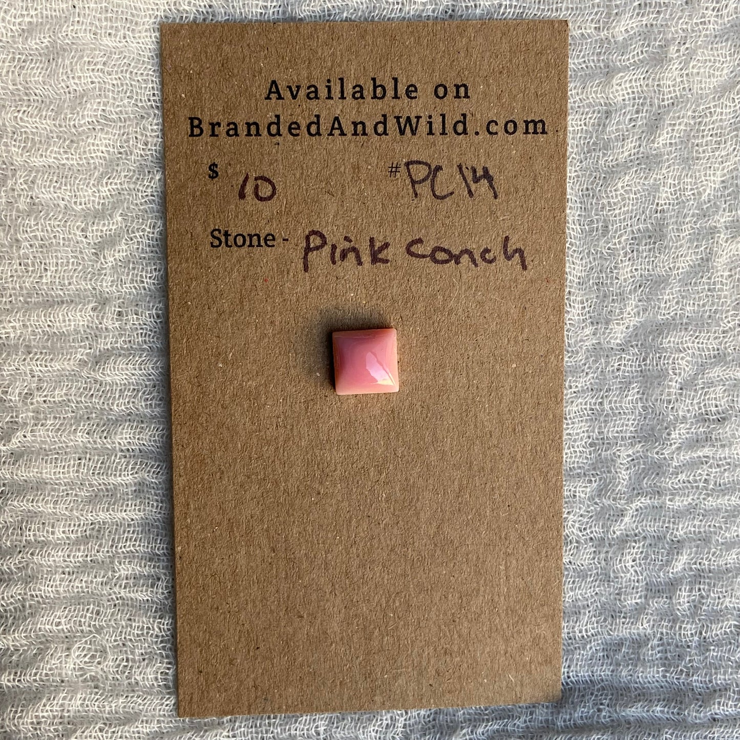 Pink Conch Cabochon - PC14