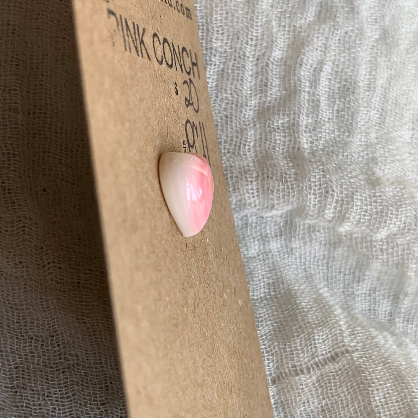 Pink Conch Cabochon - PC11