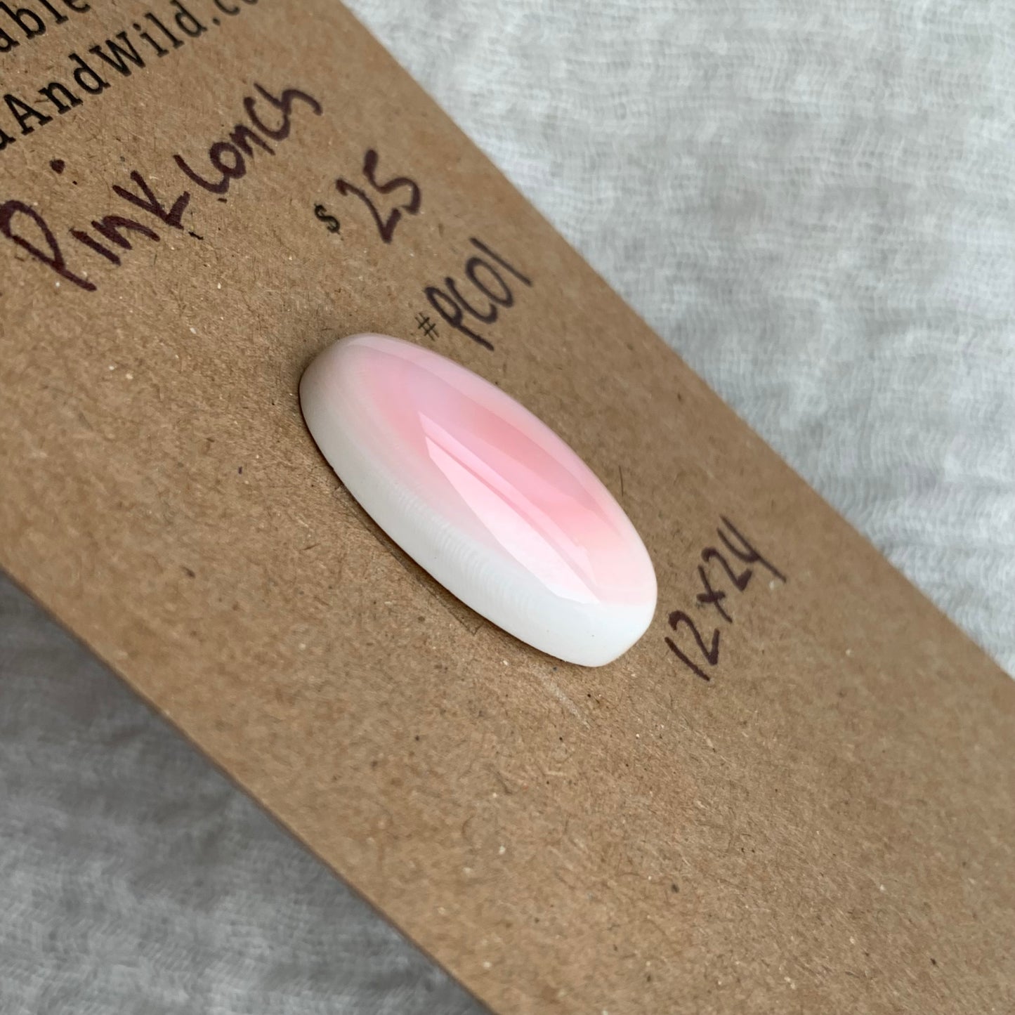 Pink Conch Cabochon - PC01