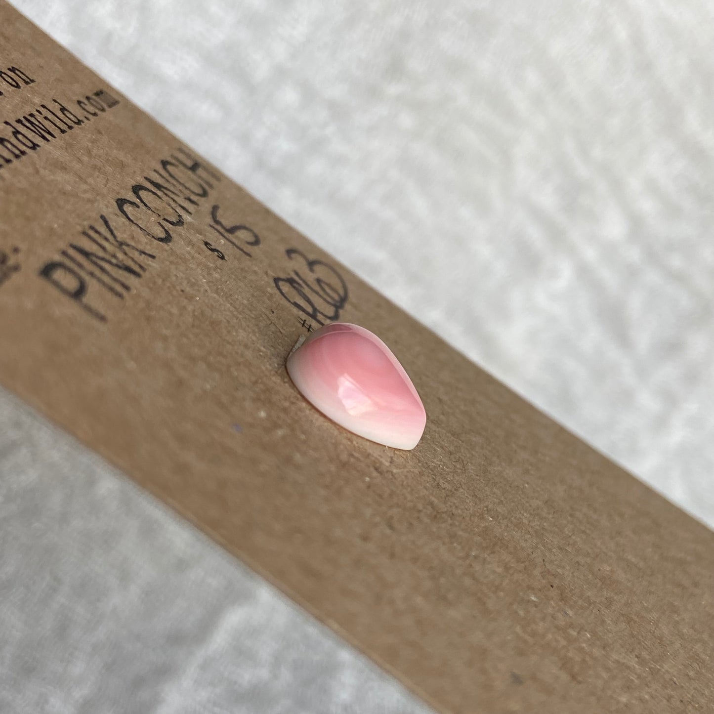 Pink Conch Cabochon - PC63
