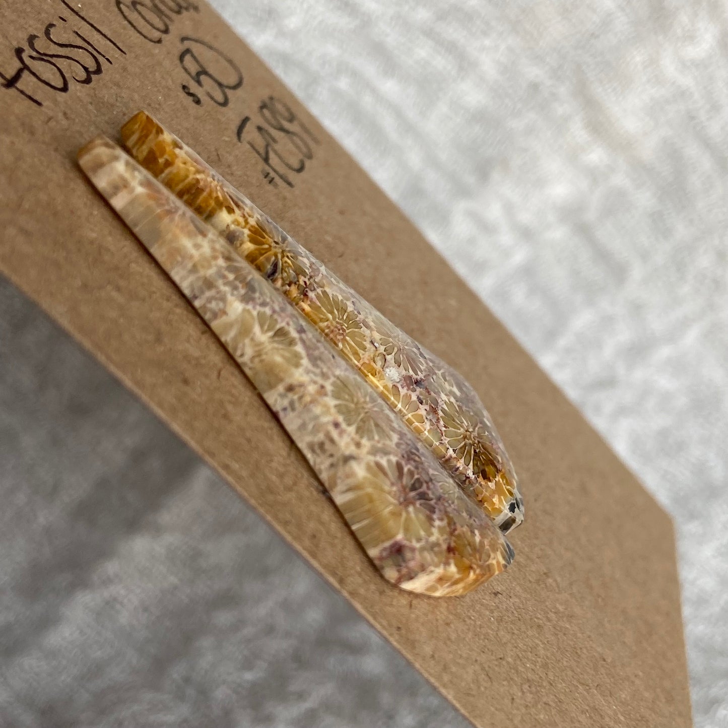 Fossil Coral Cabochon - FC89
