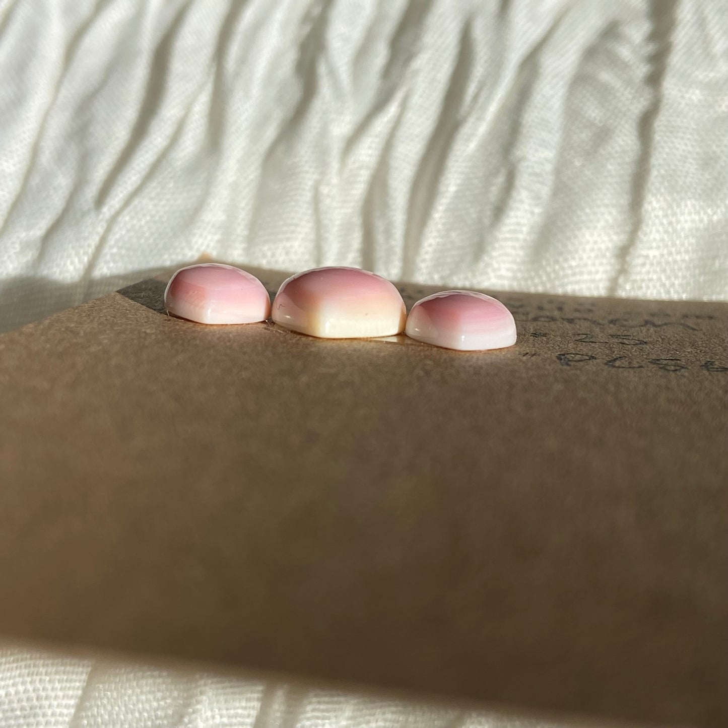 Pink Conch Cabochon - PC56 407BDF9B-9D86-4833-AA77-B015C86AB3F6 Brandedandwild.com