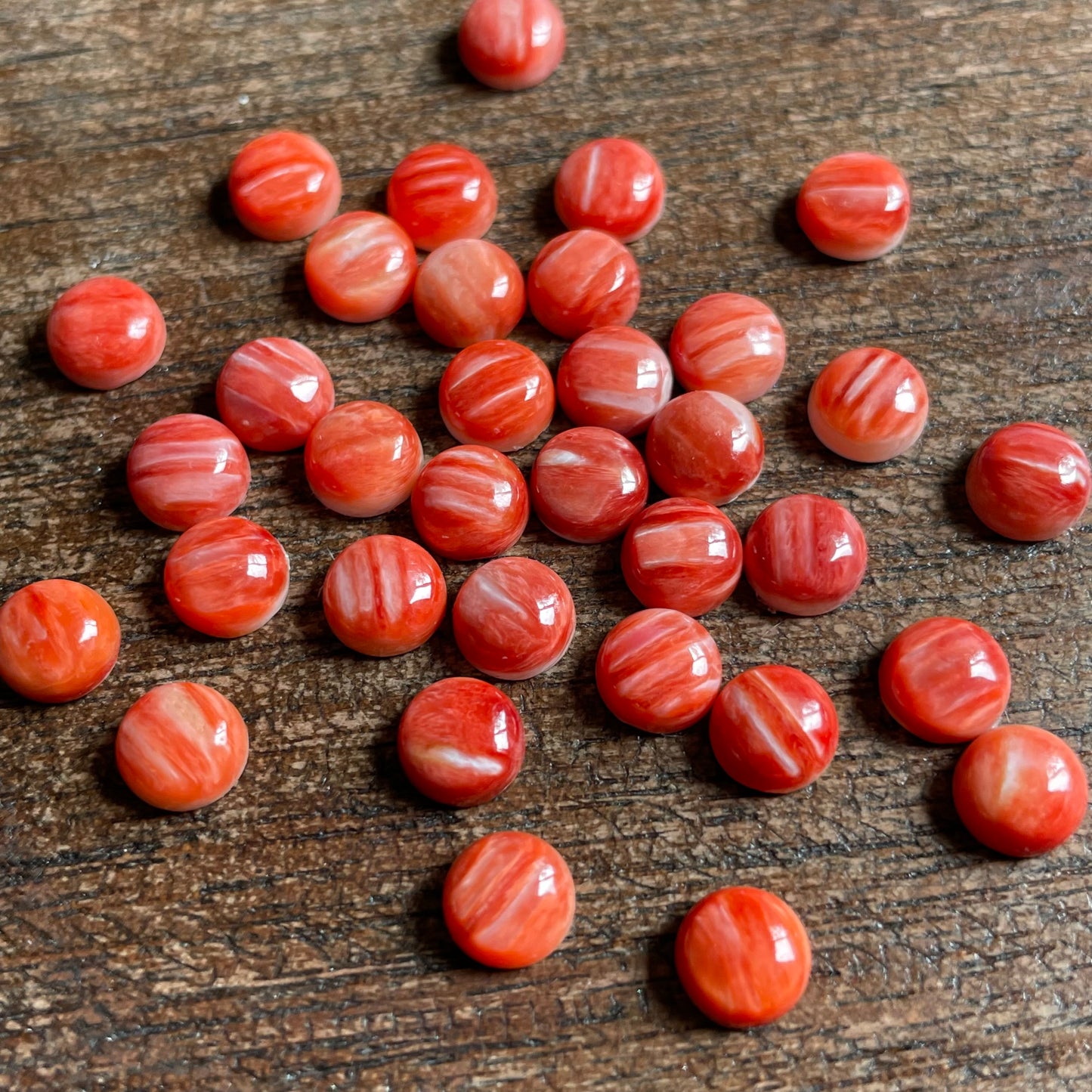 Red Oyster Shell 6mm