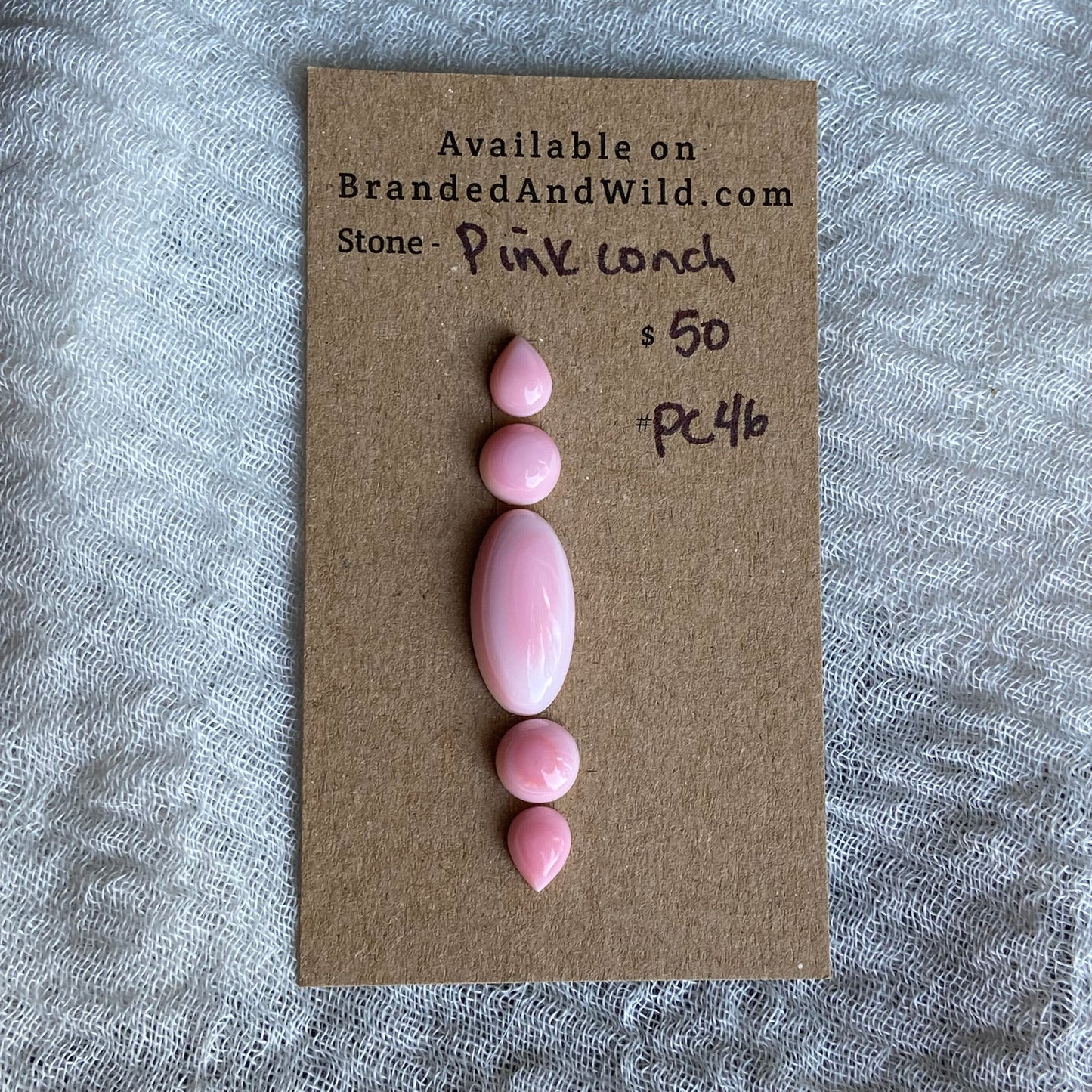 Pink Conch Cabochon - PC46