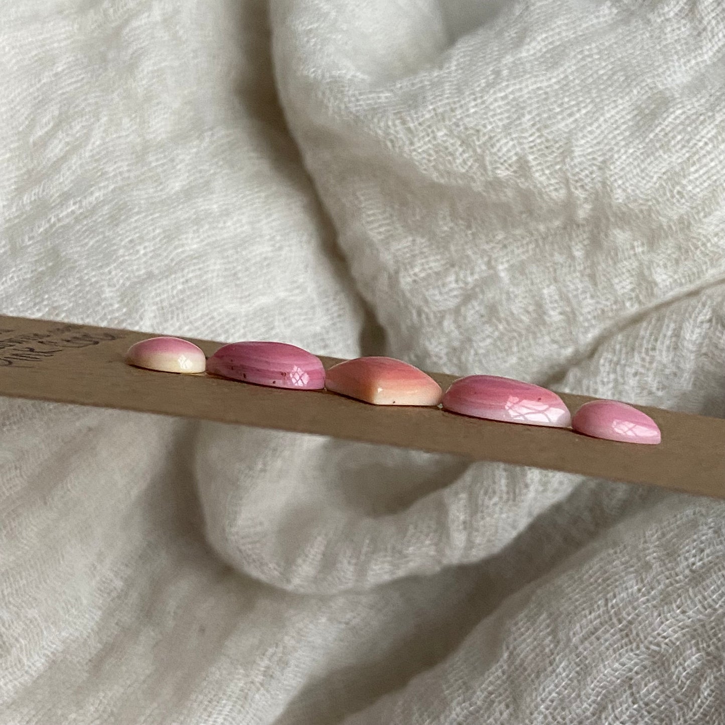 Pink Conch Cabochon - PC23