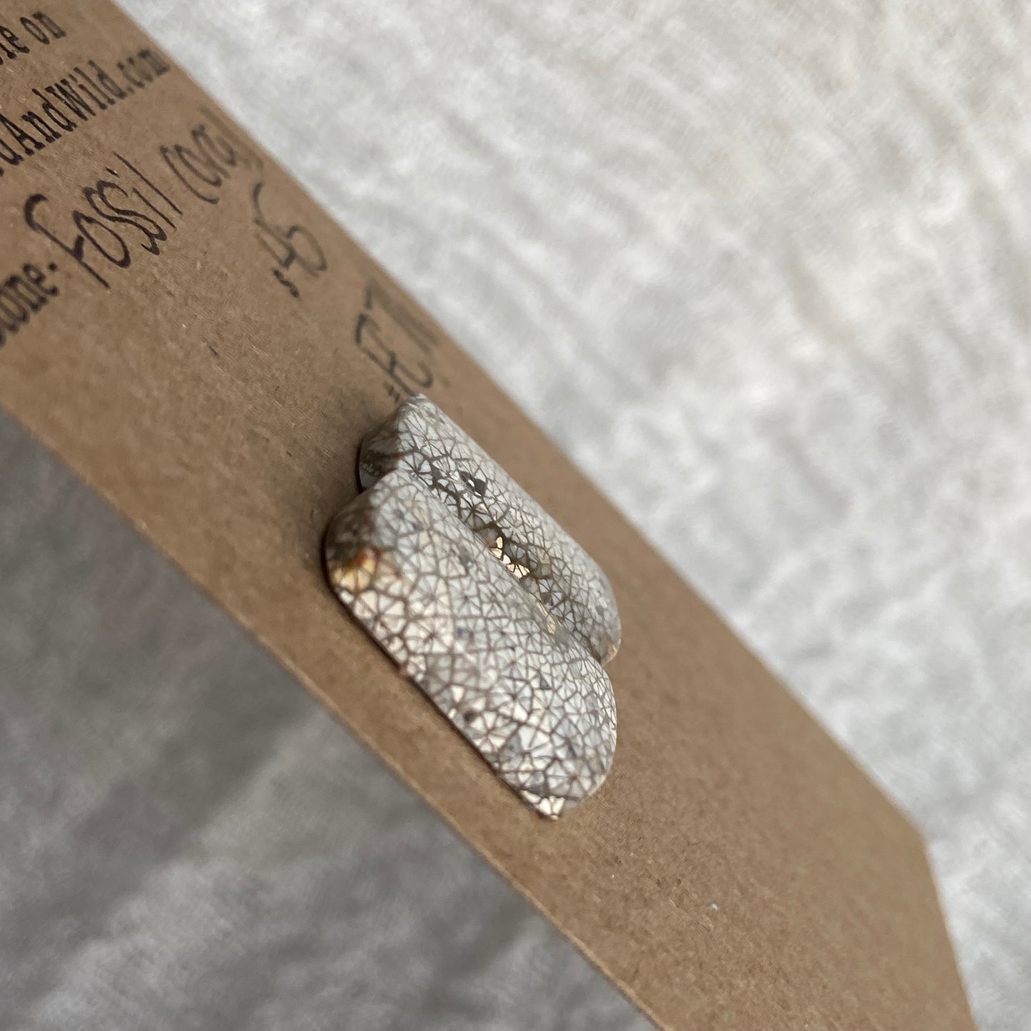 Fossil Coral Cabochon - FC71
