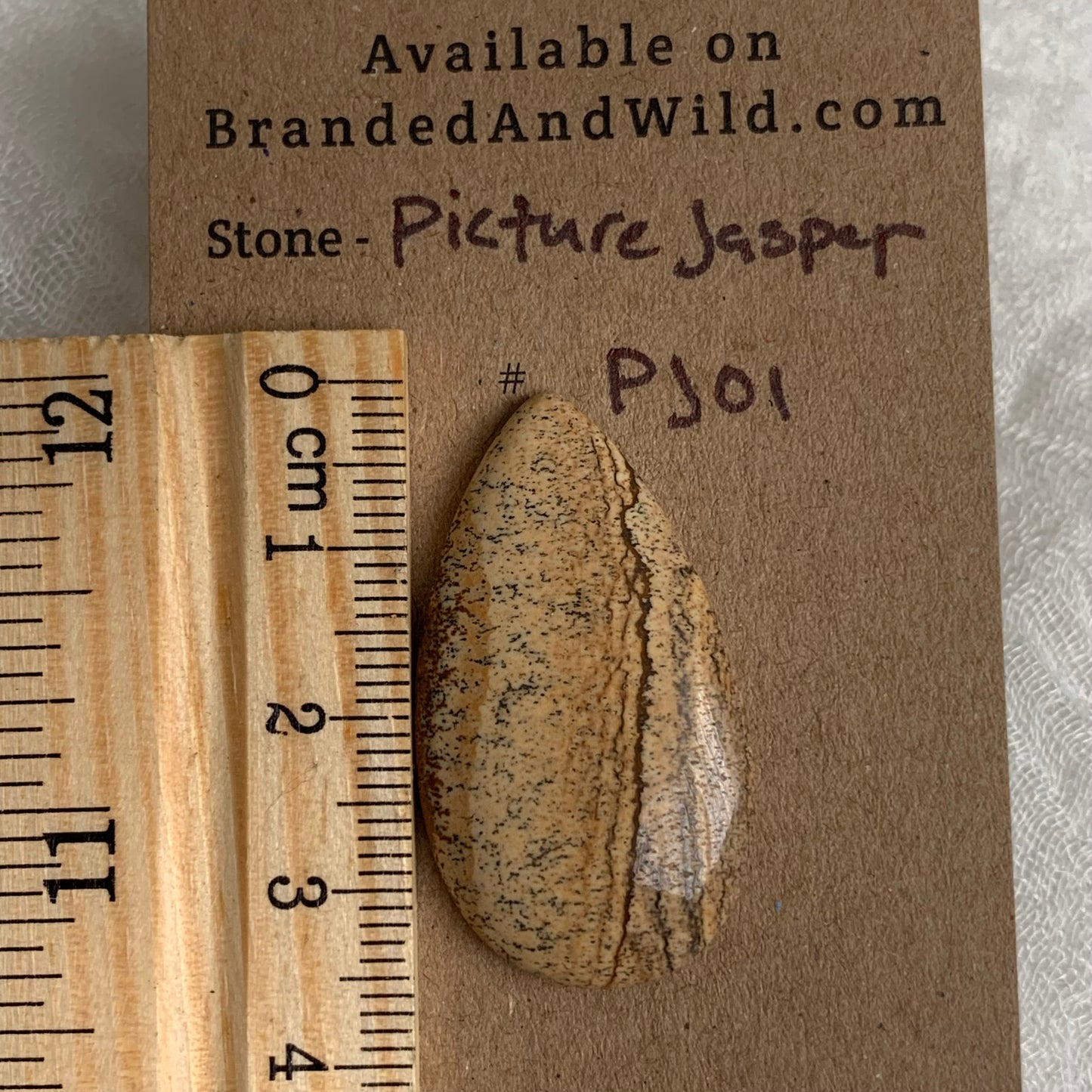 Picture Jasper Cabochon - PJ01