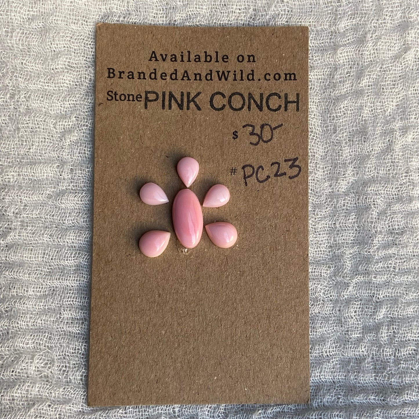 Pink Conch Cabochon - PC23