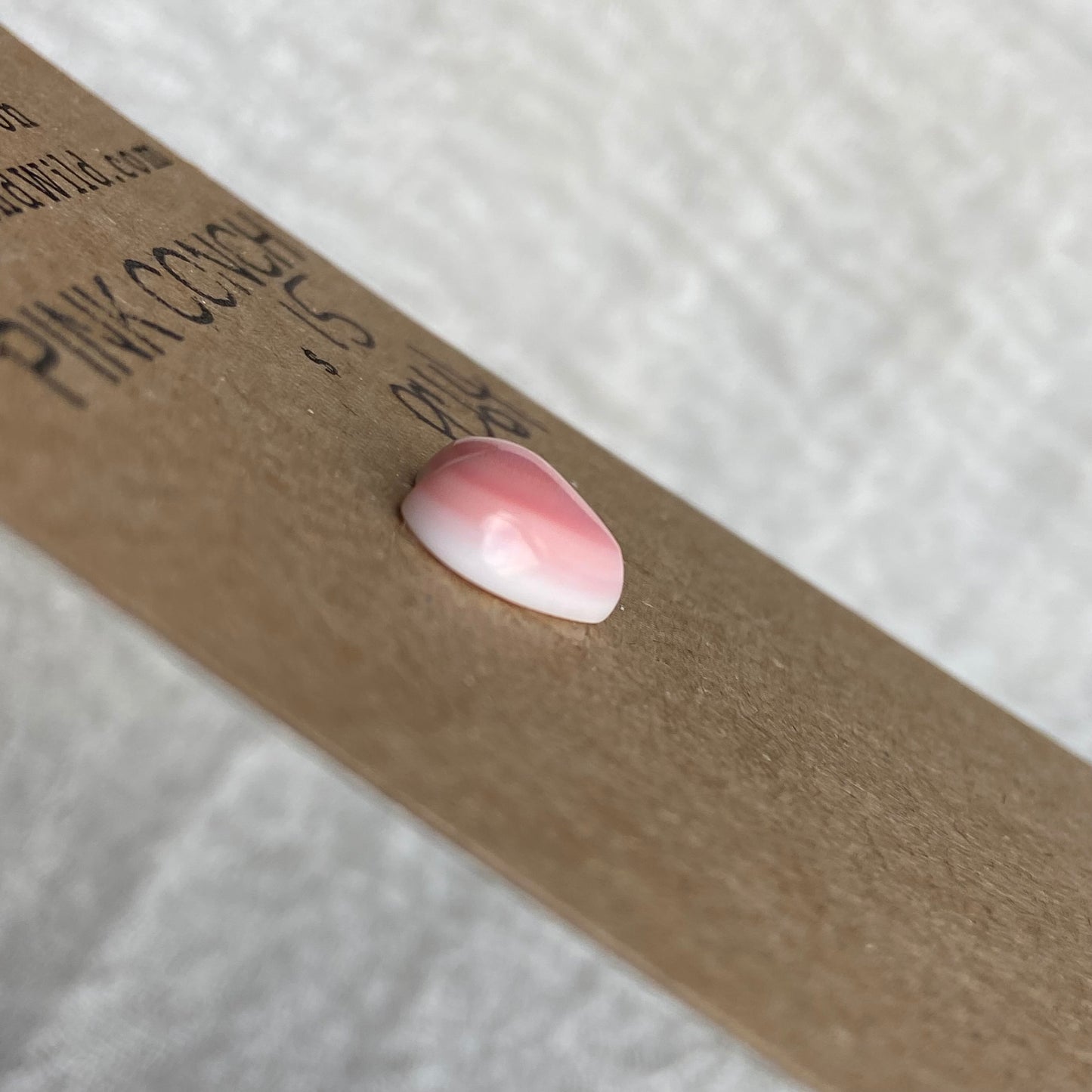 Pink Conch Cabochon - PC64
