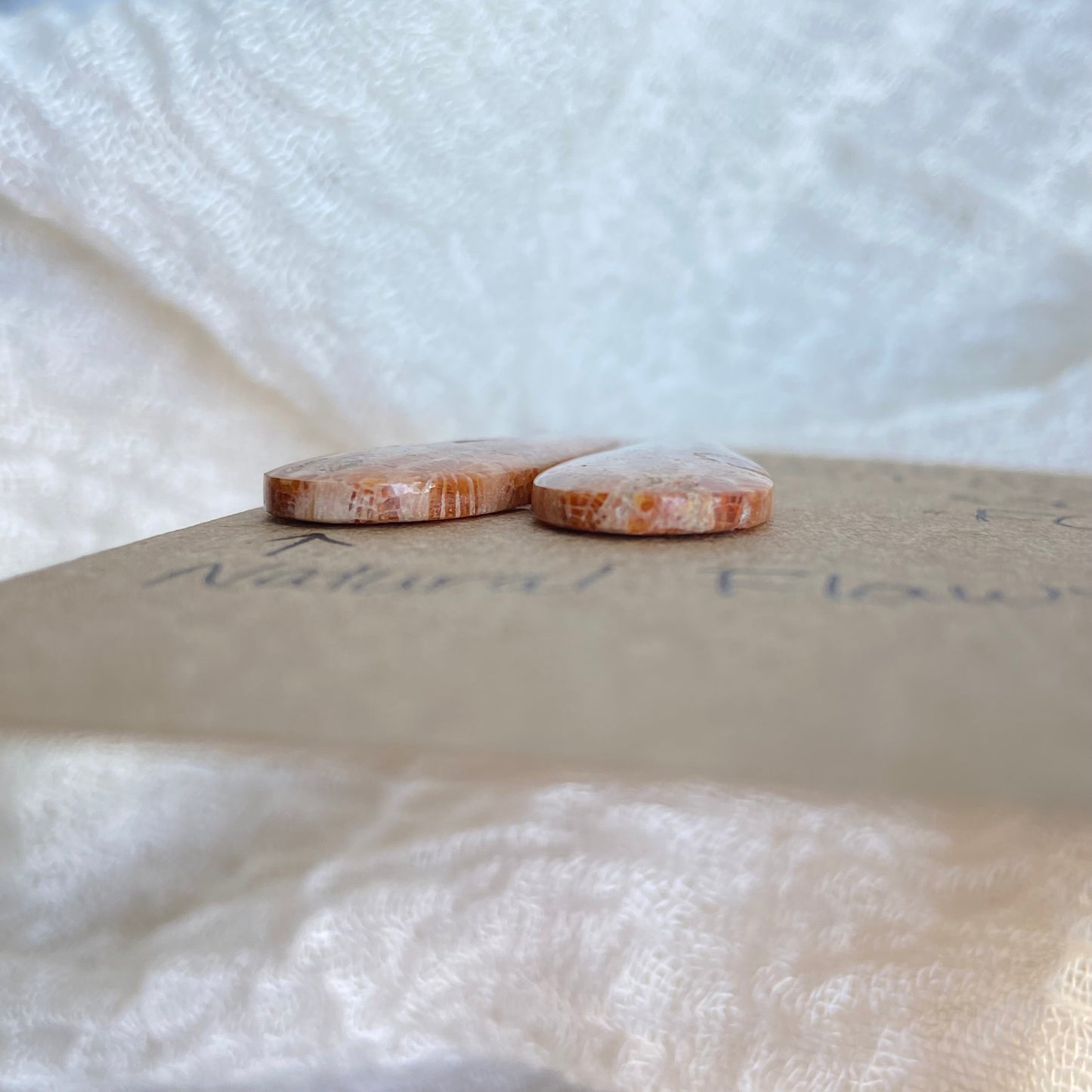 Fossil Coral Cabochon - FC70