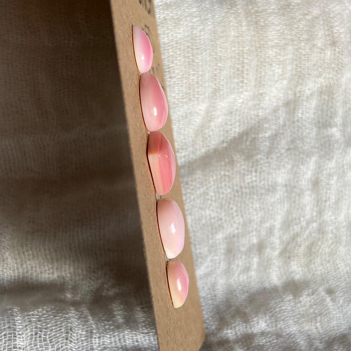 Pink Conch Cabochon - PC02