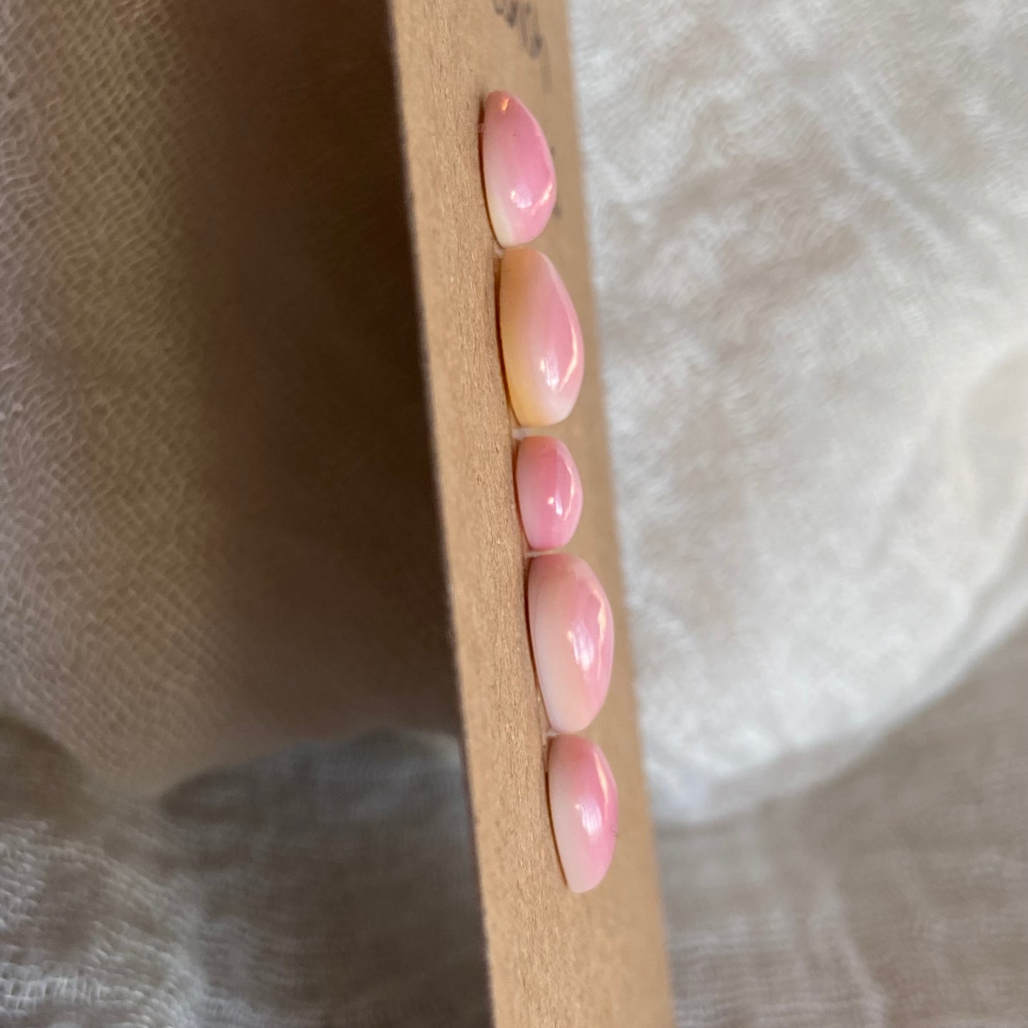 Pink Conch Cabochon - PC10