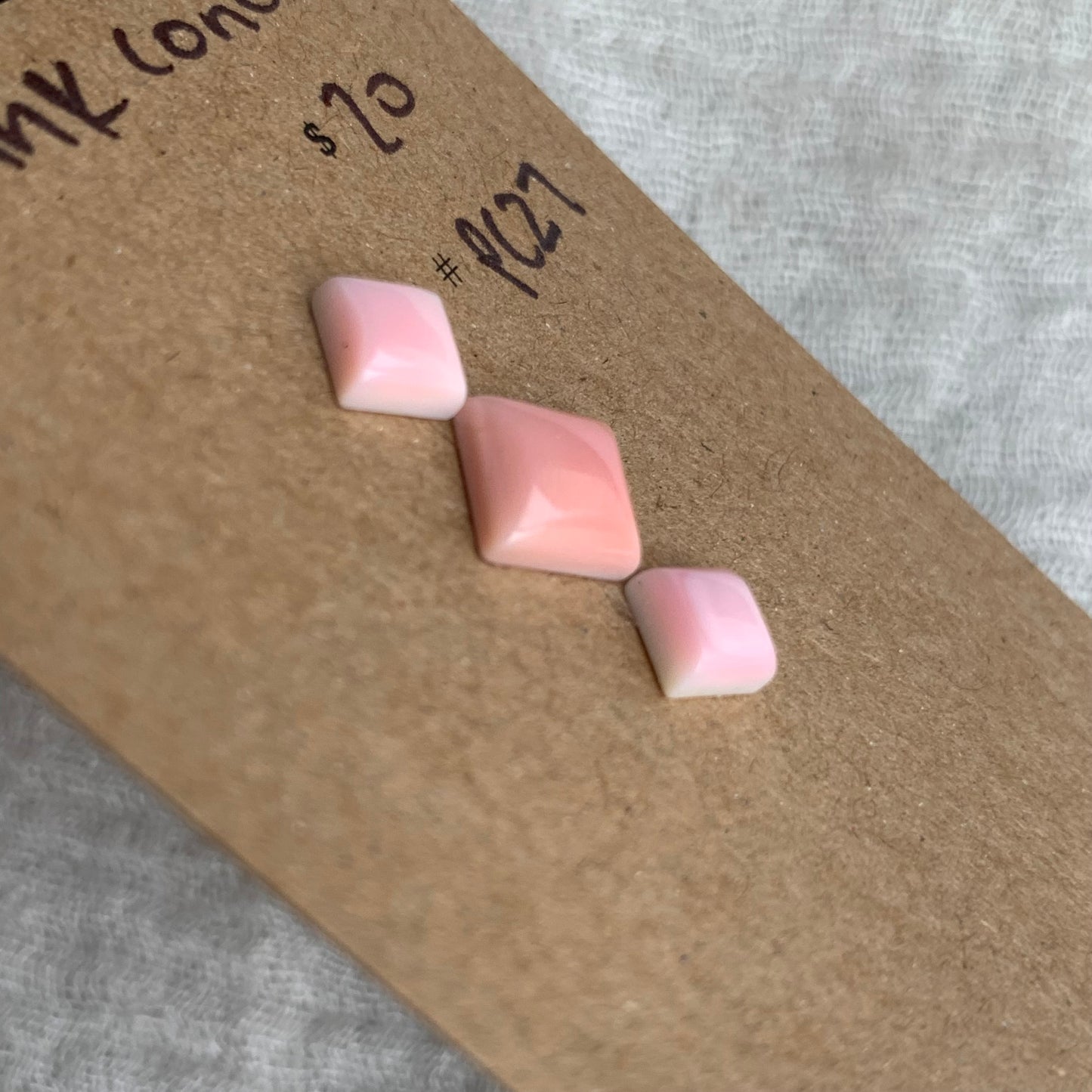 Pink Conch Cabochon - PC27