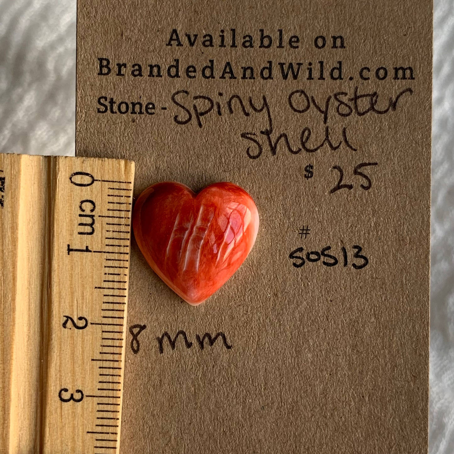 Spiny Oyster Shell Cabochon - SOS13