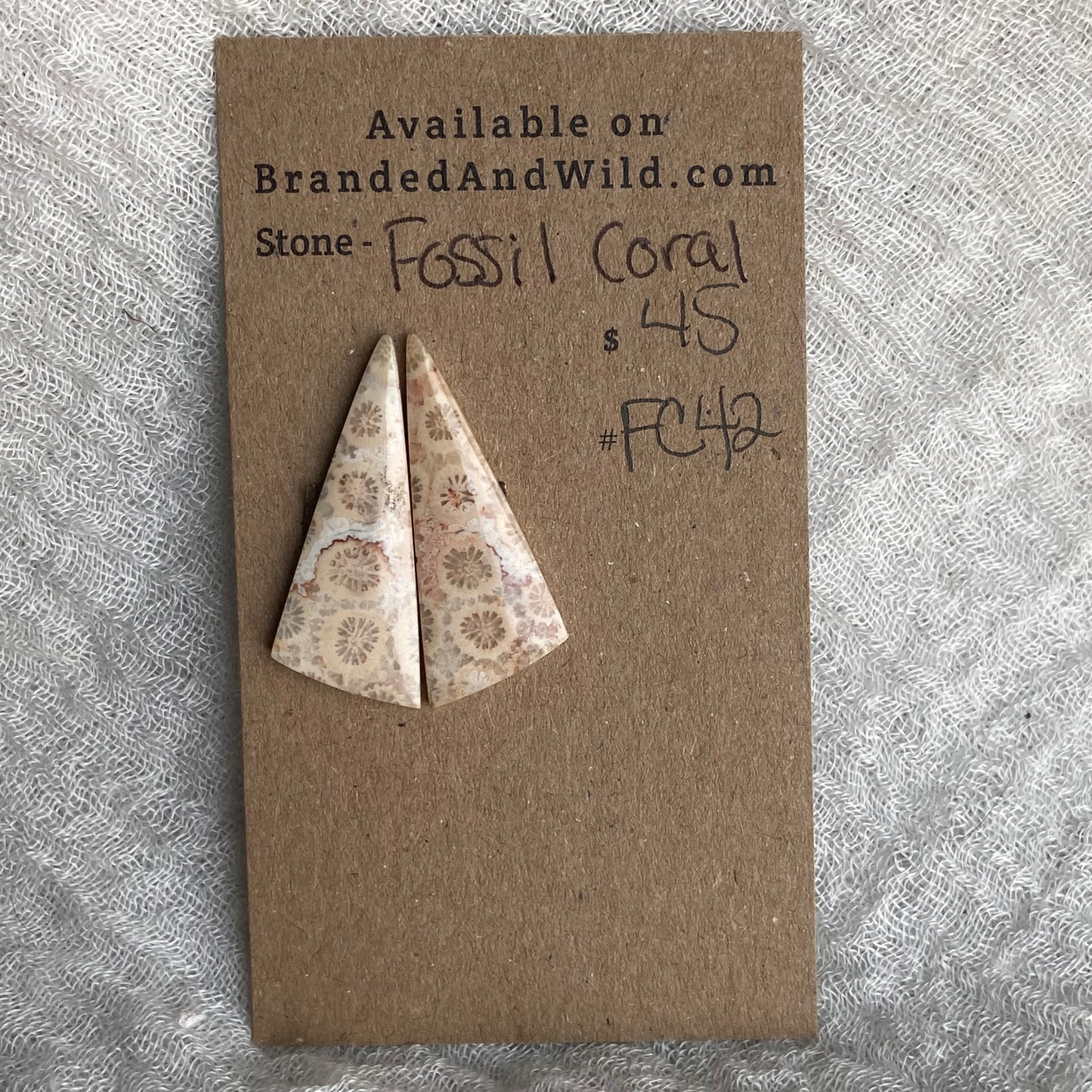 Fossil Coral Cabochon - FC42