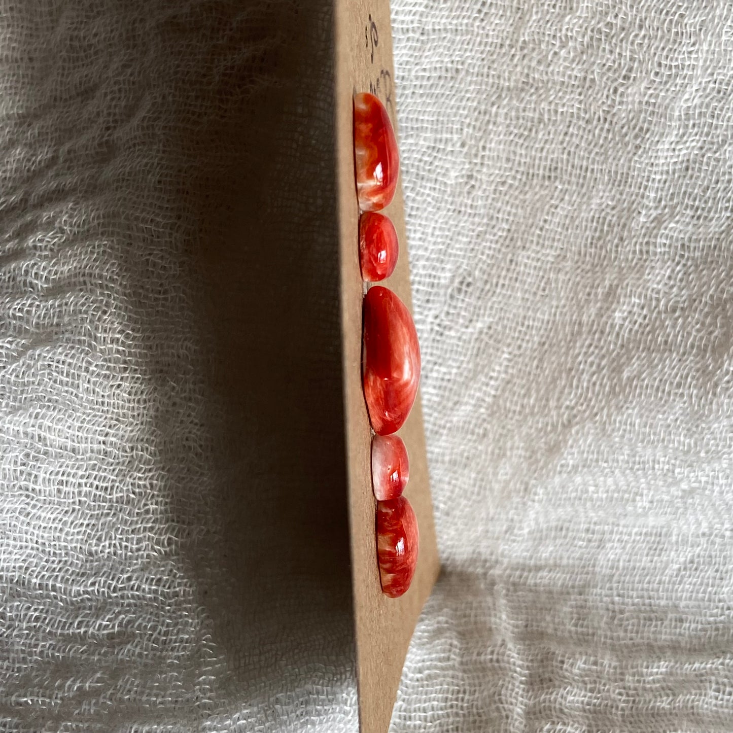 Oystershell Cabochon - SOS23