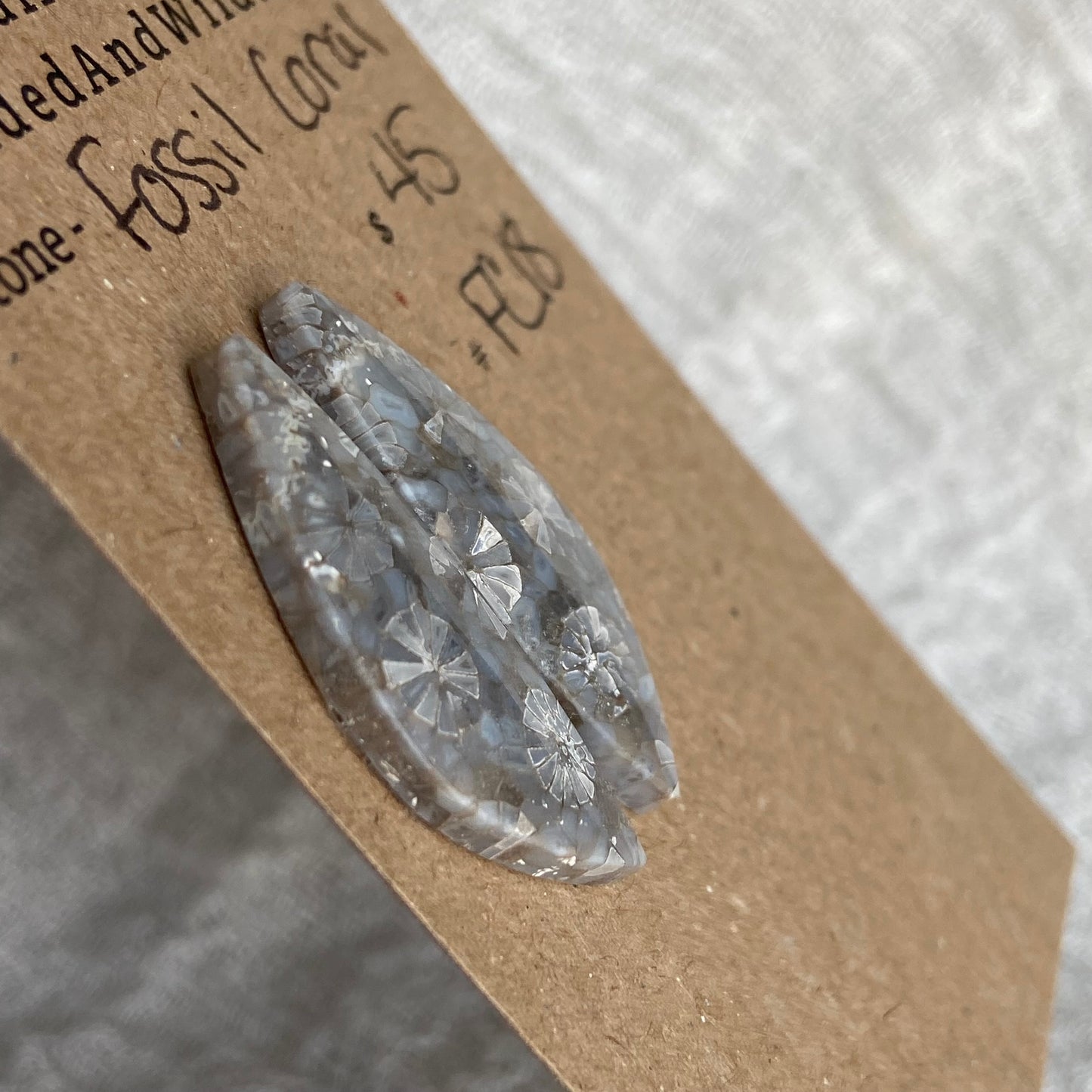 Fossil Coral Cabochon - FC18