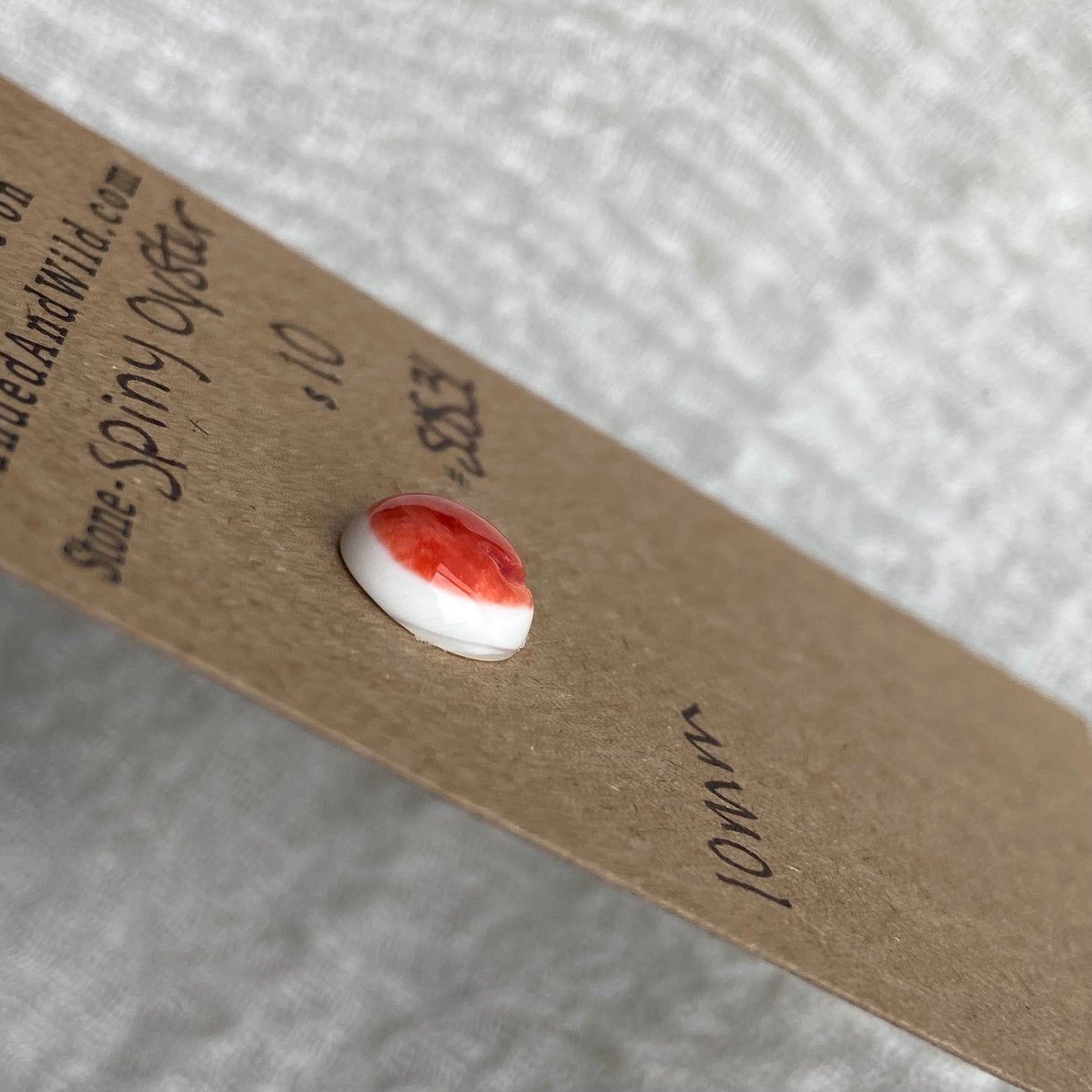 Spiny Oyster Shell Cabochon - SOS31