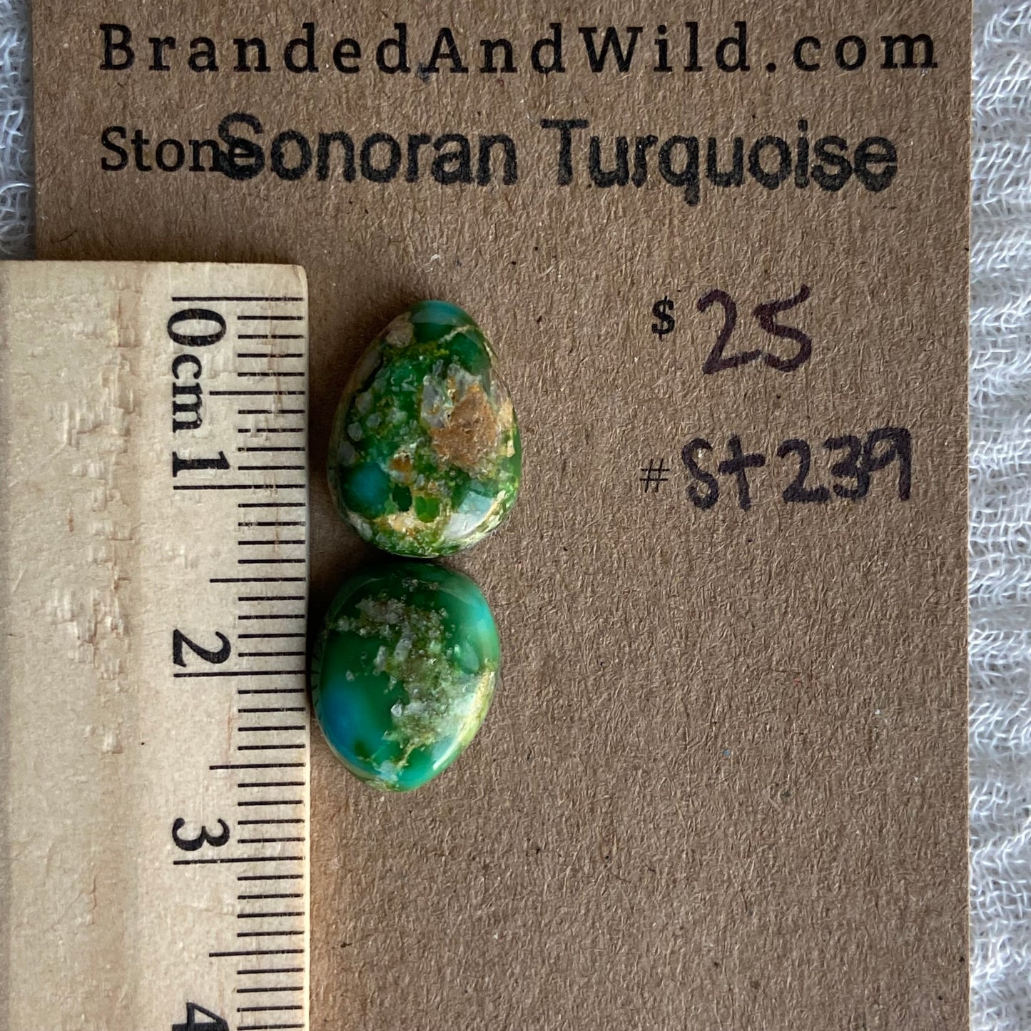Sonoran Turquoise Cabochon - ST239