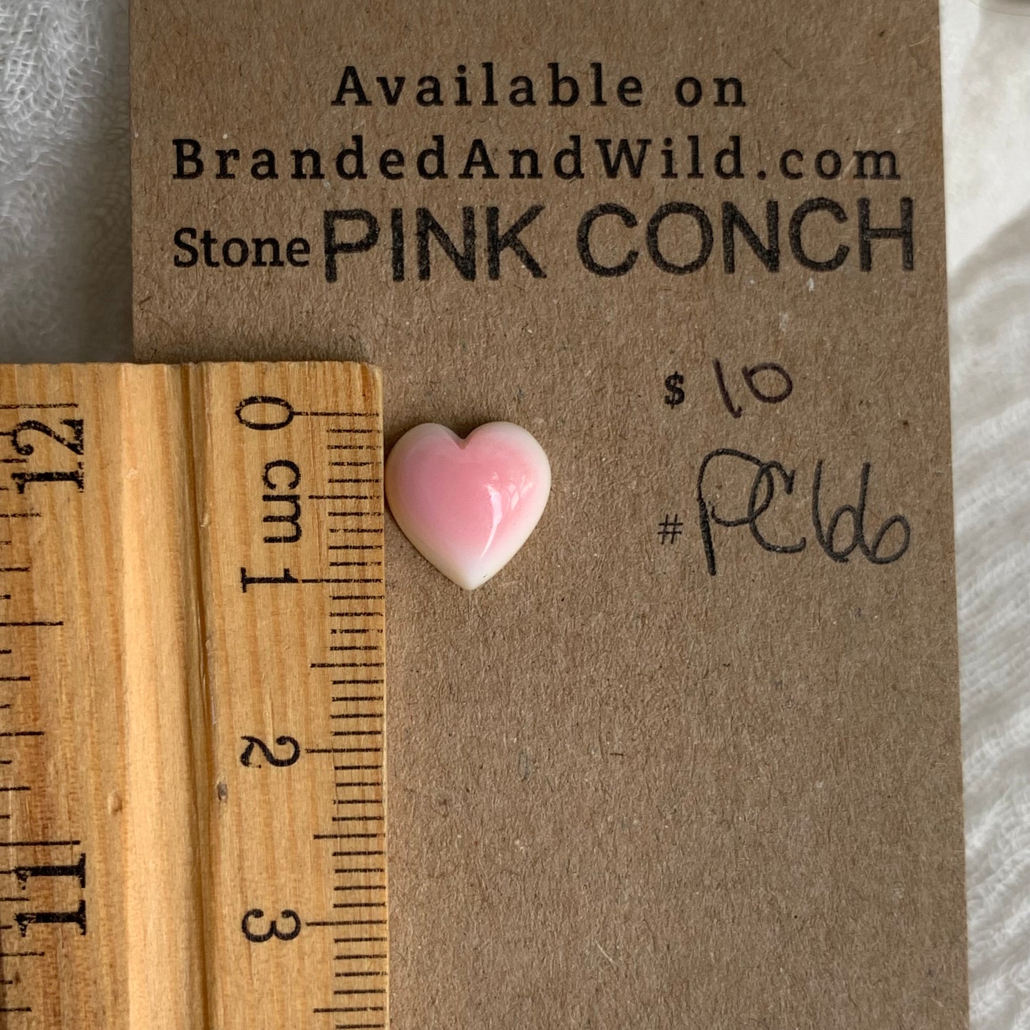 Pink Conch Cabochon - PC66