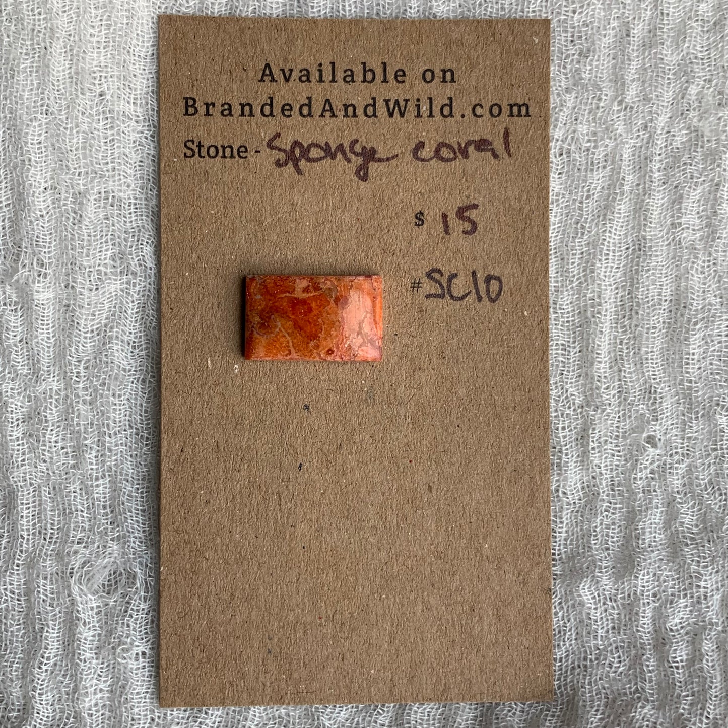 Sponge Coral Cabochon - SC10