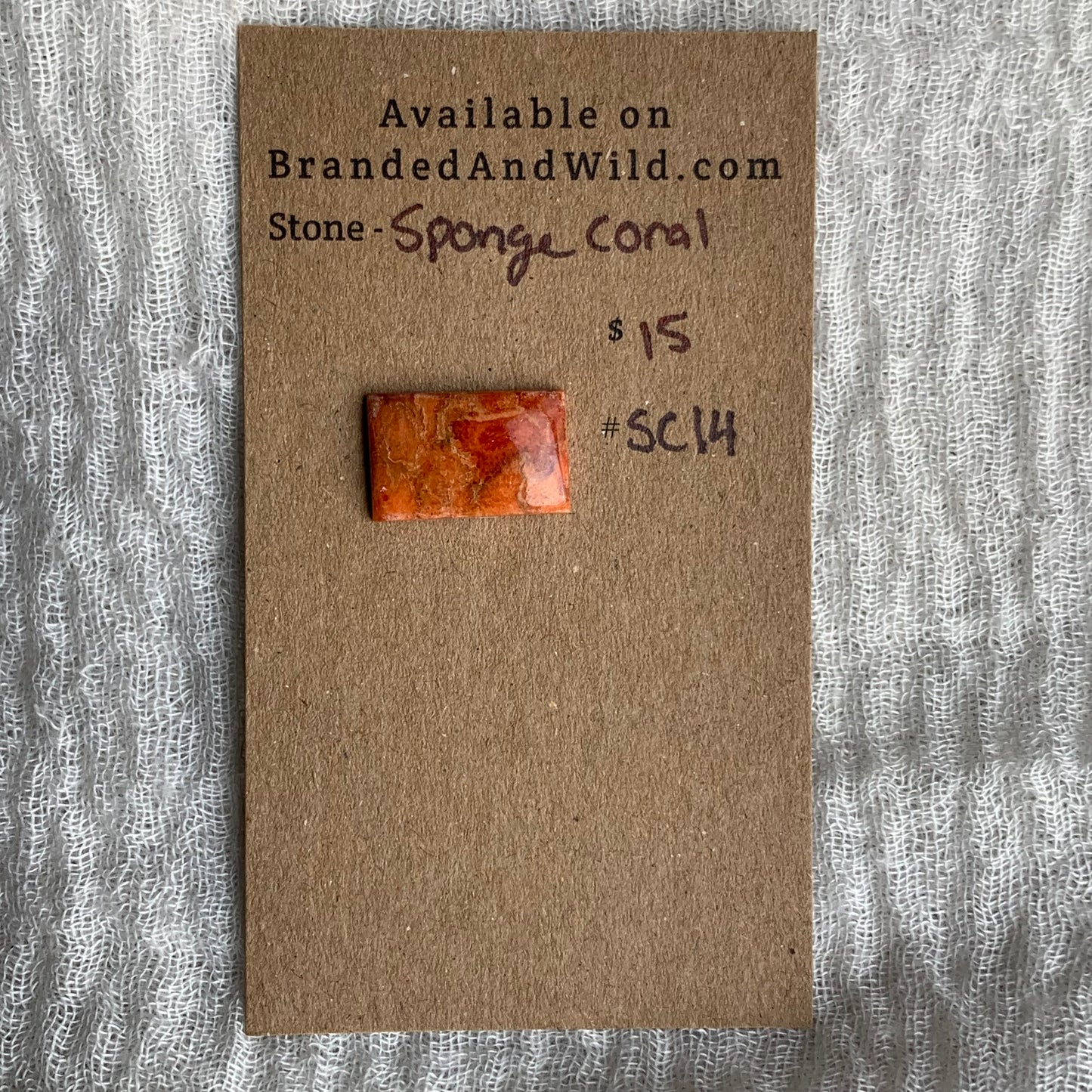 Sponge Coral Cabochon - SC14