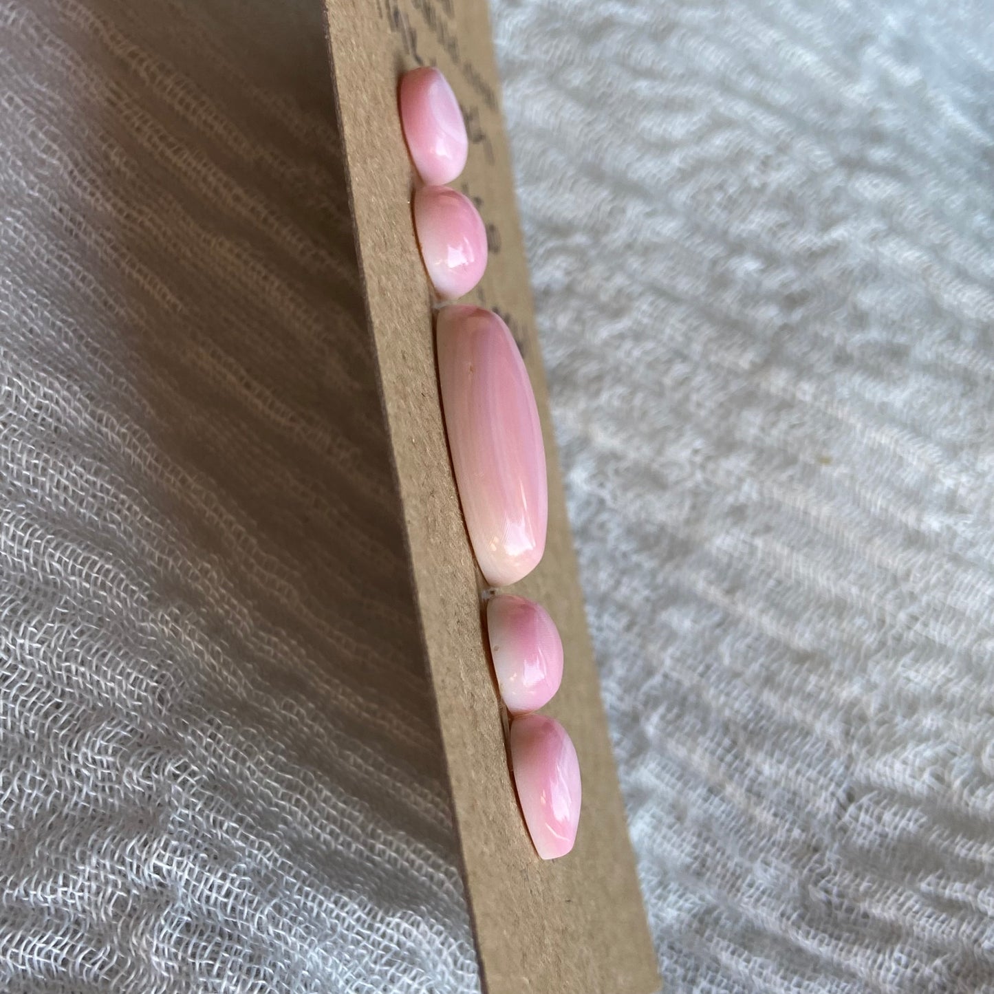 Pink Conch Cabochon - PC61