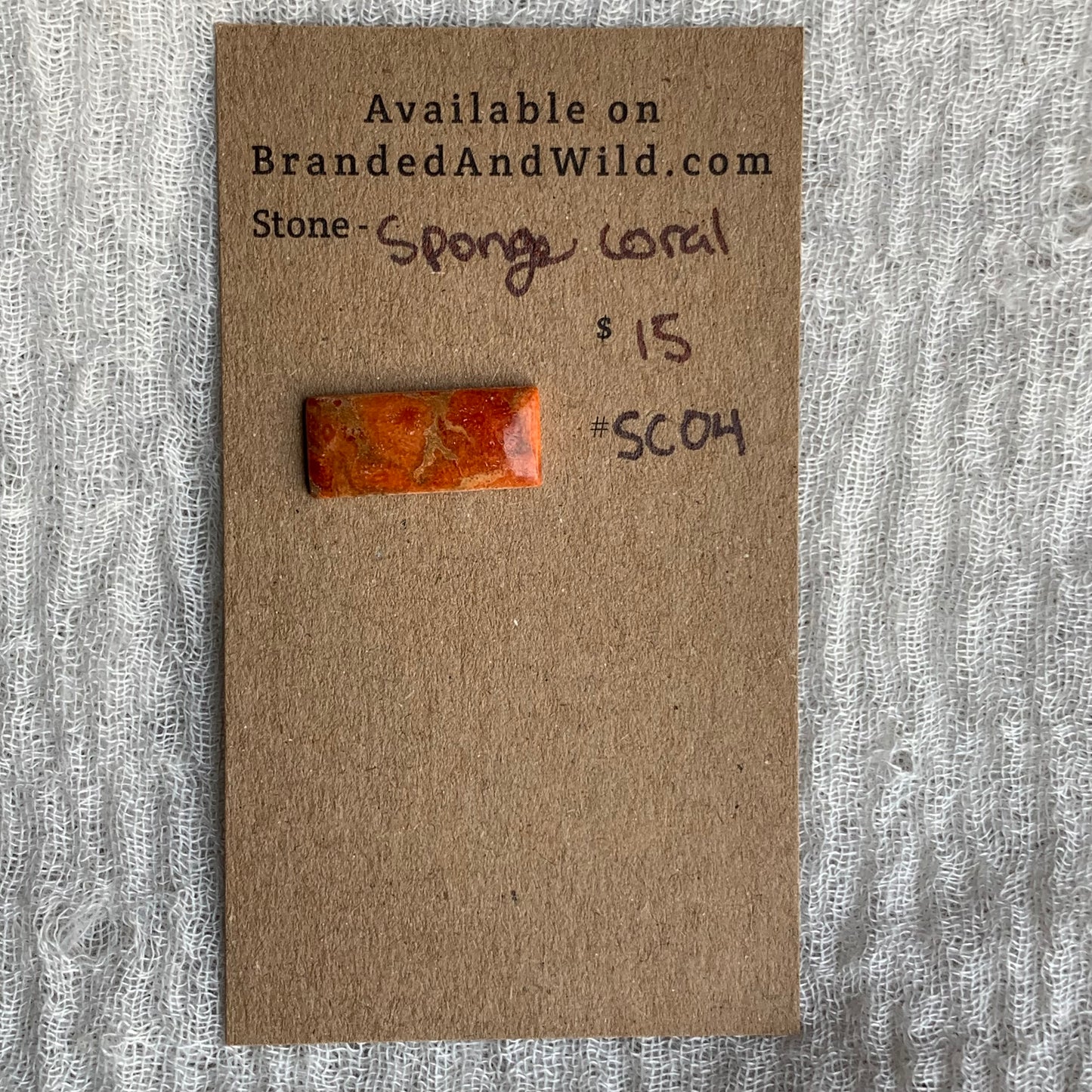 Sponge Coral Cabochon - SC04