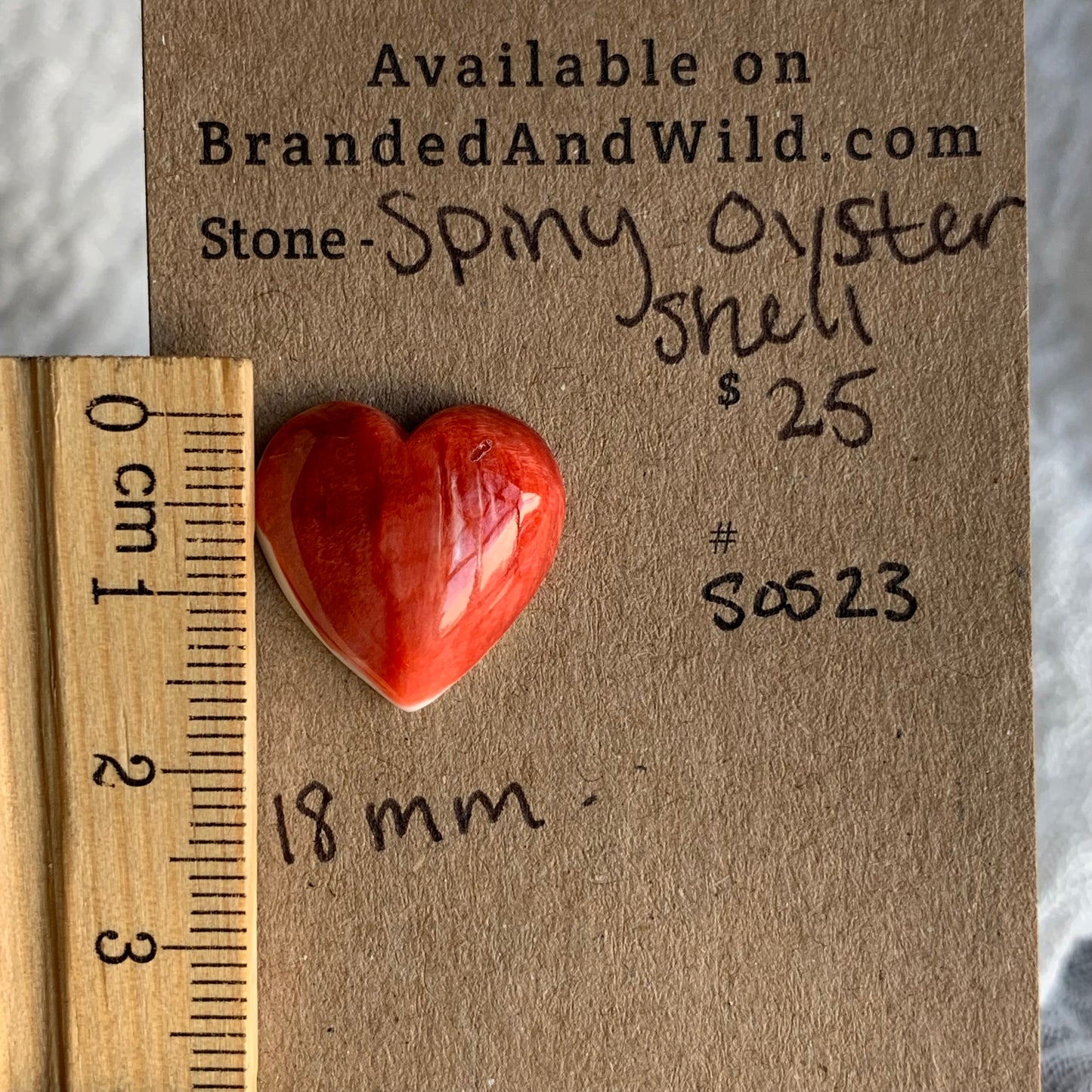 Spiny Oyster Shell Cabochon - SOS23