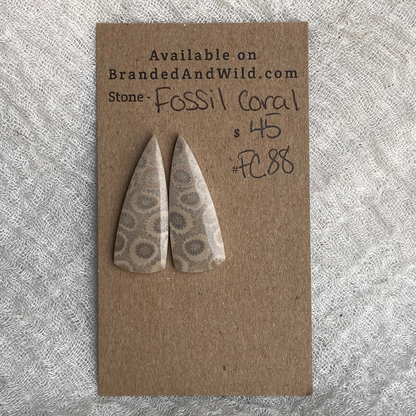 Fossil Coral Cabochon - FC88