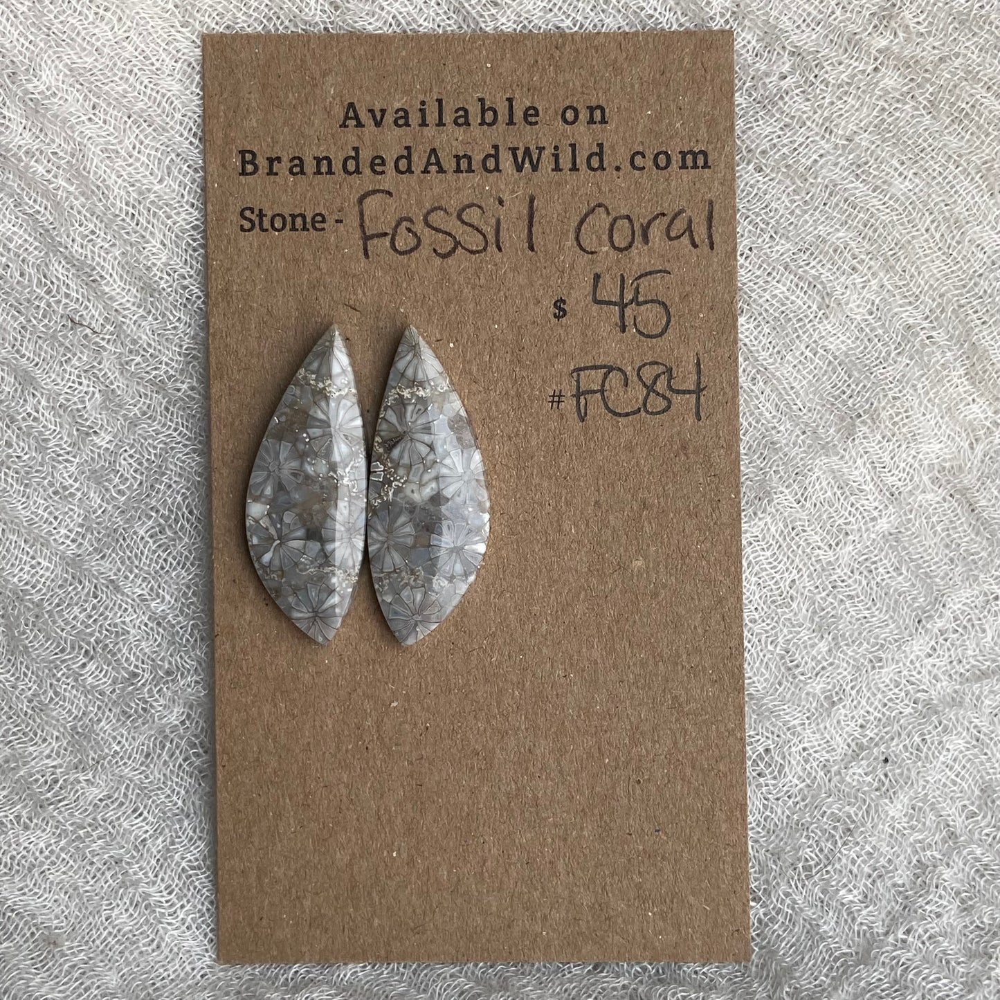 Fossil Coral Cabochon - FC84