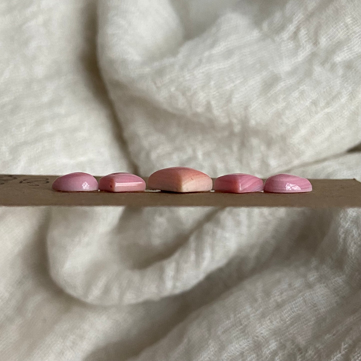 Pink Conch Cabochon - PC72