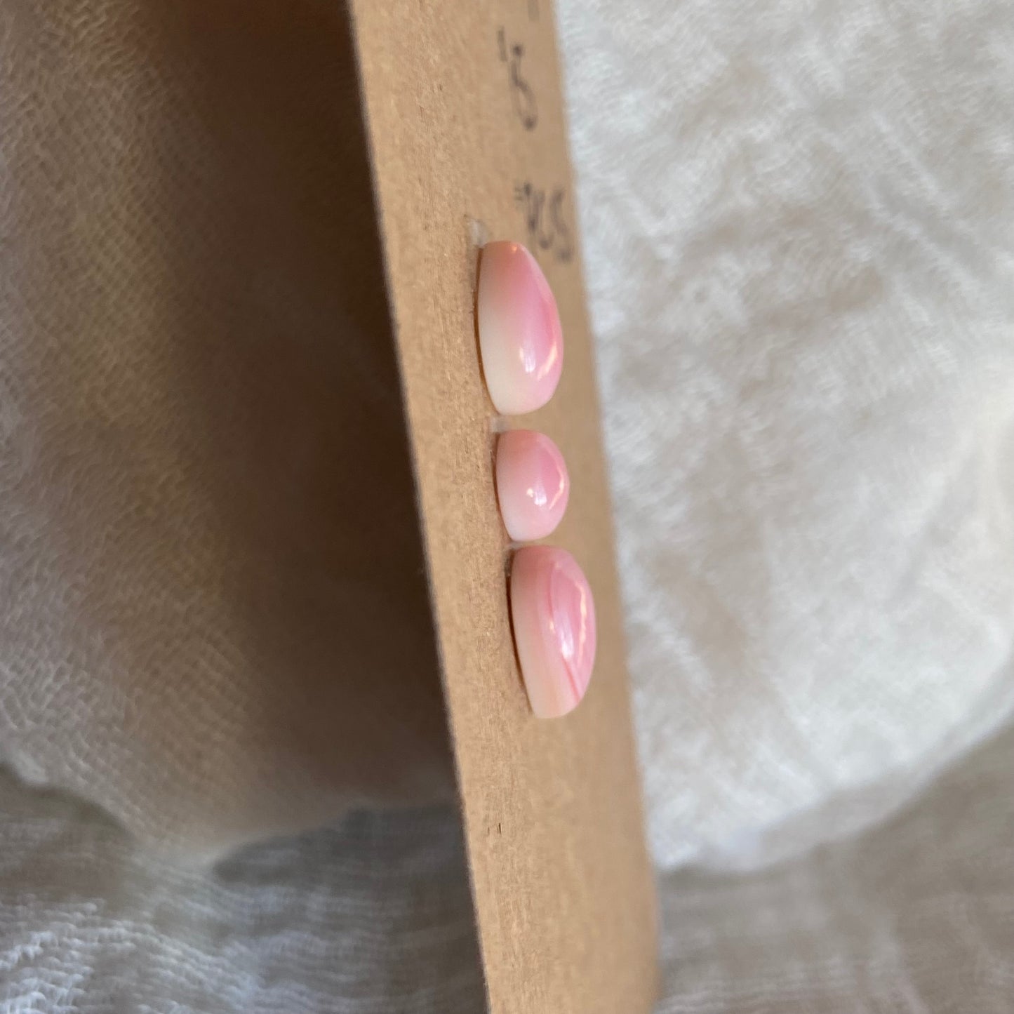 Pink Conch Cabochon - PC15