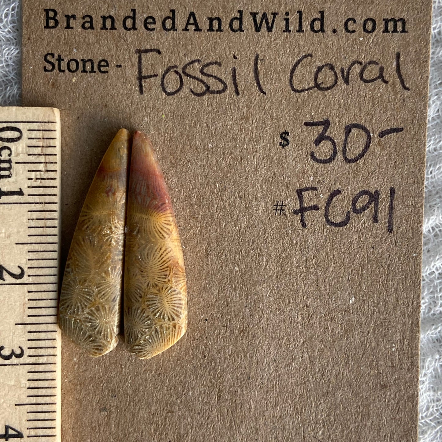 Fossil Coral Cabochon - FC91