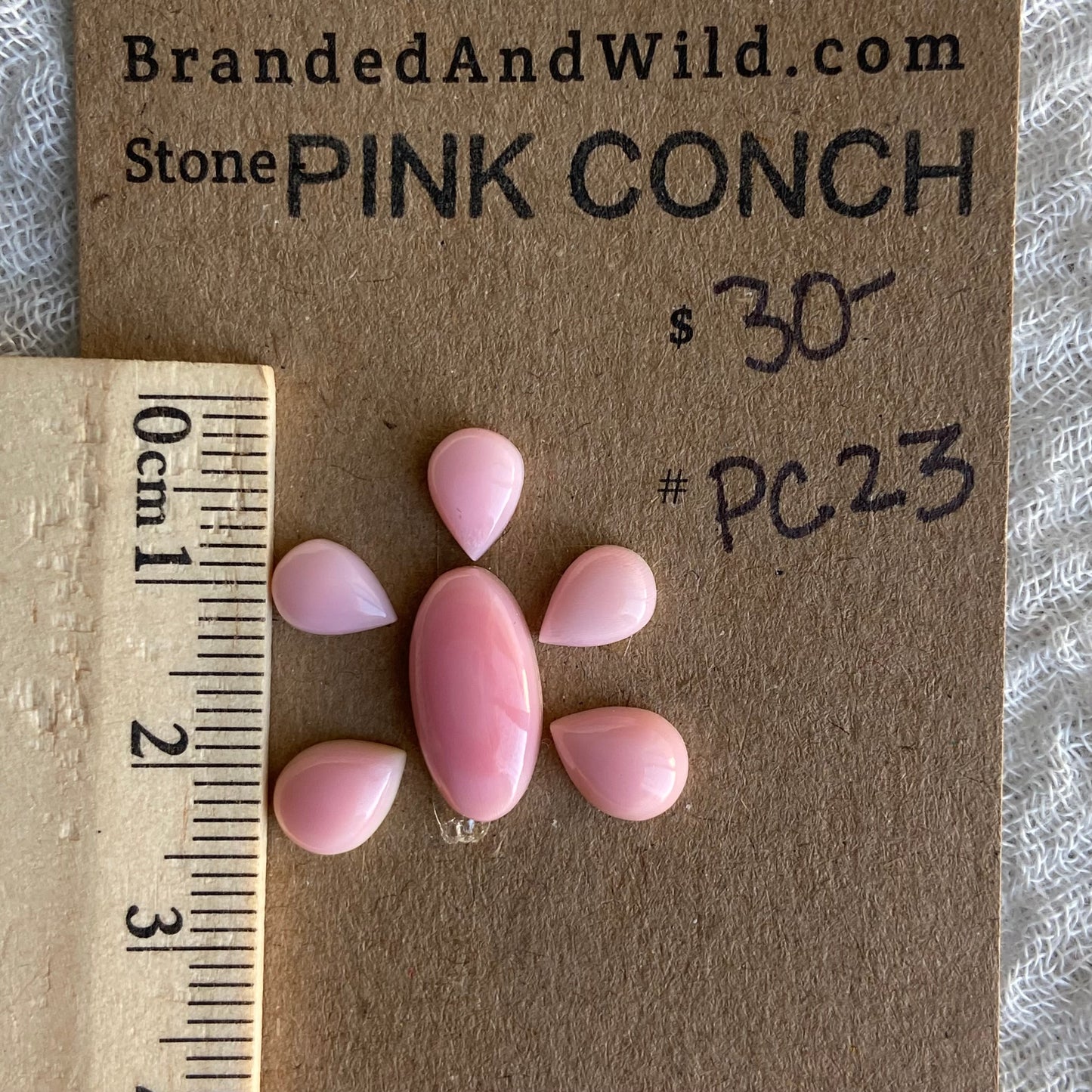 Pink Conch Cabochon - PC23